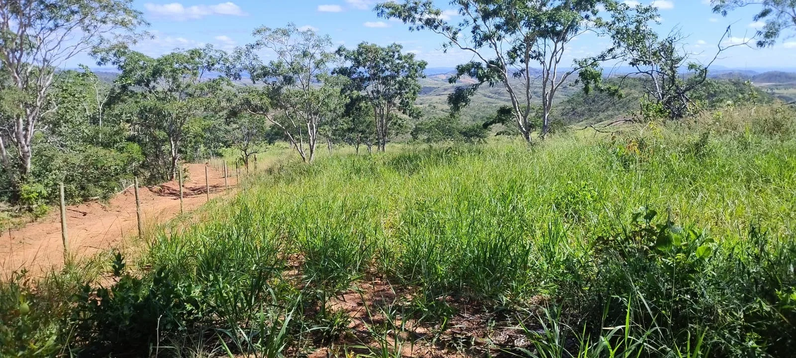Fazenda Dupla Aptidão A Venda Em Lagamar - Mg