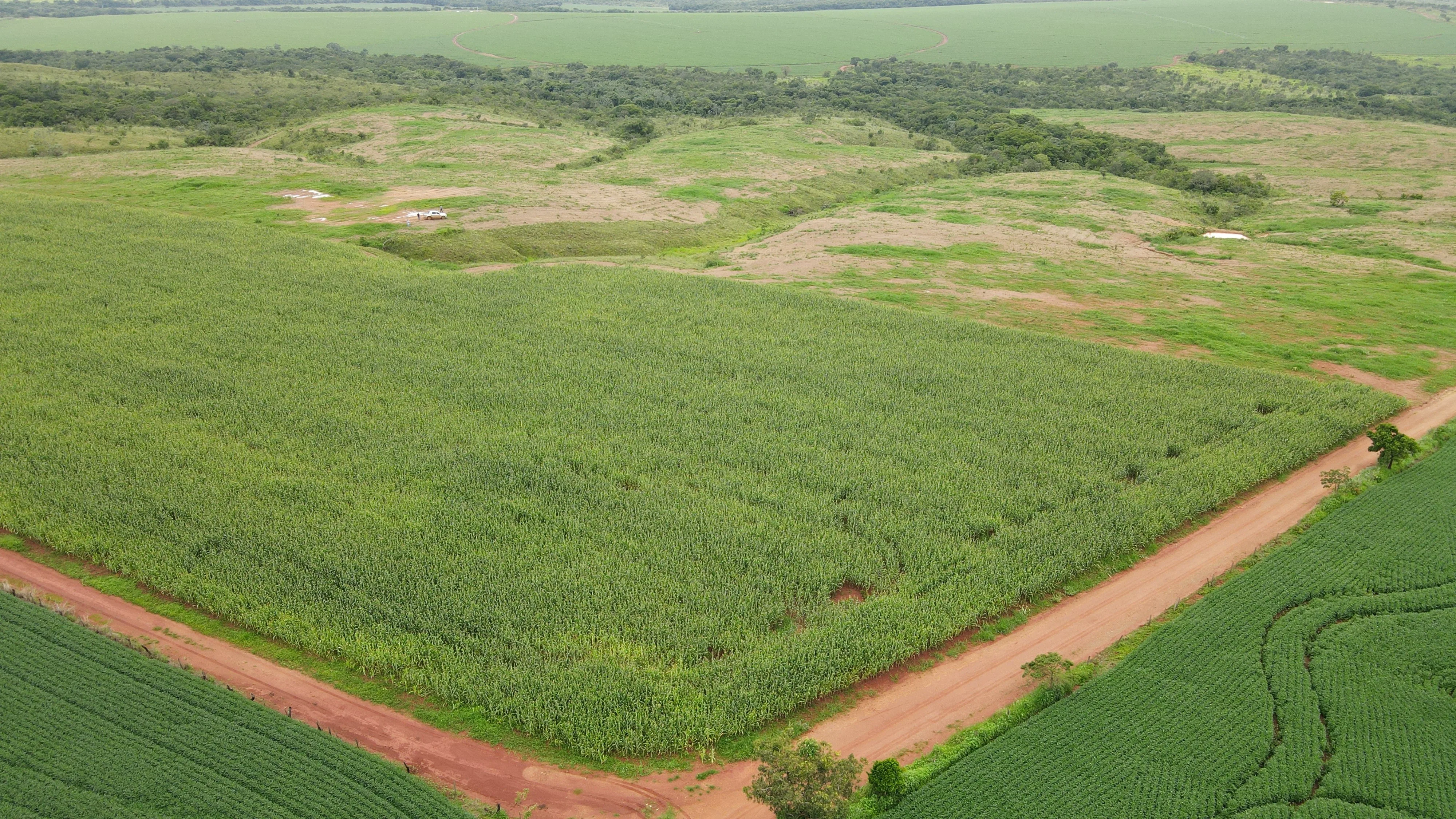 Fazenda Dupla Aptidão Em Coromandel