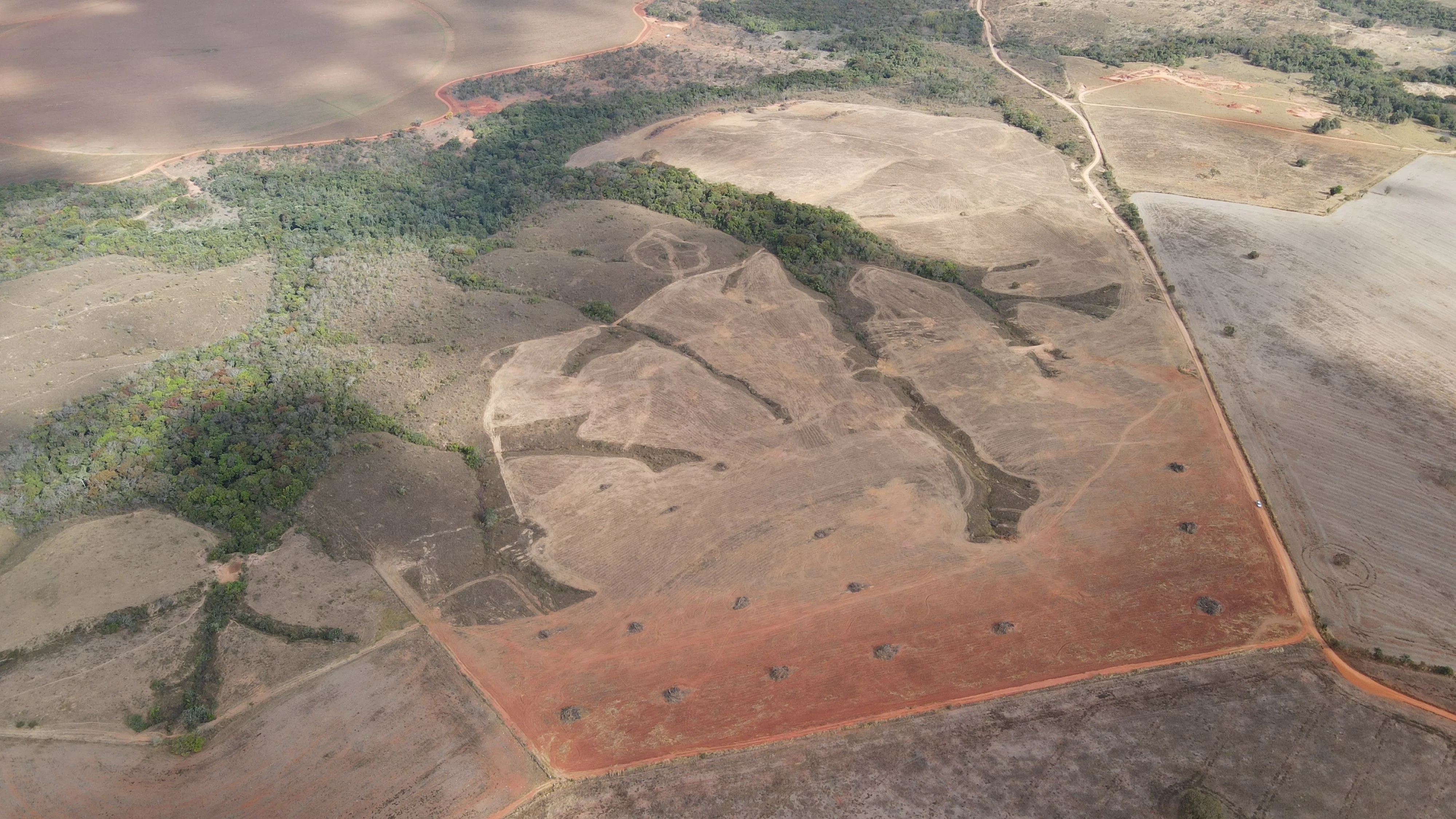 Fazenda Dupla Aptidão Em Coromandel