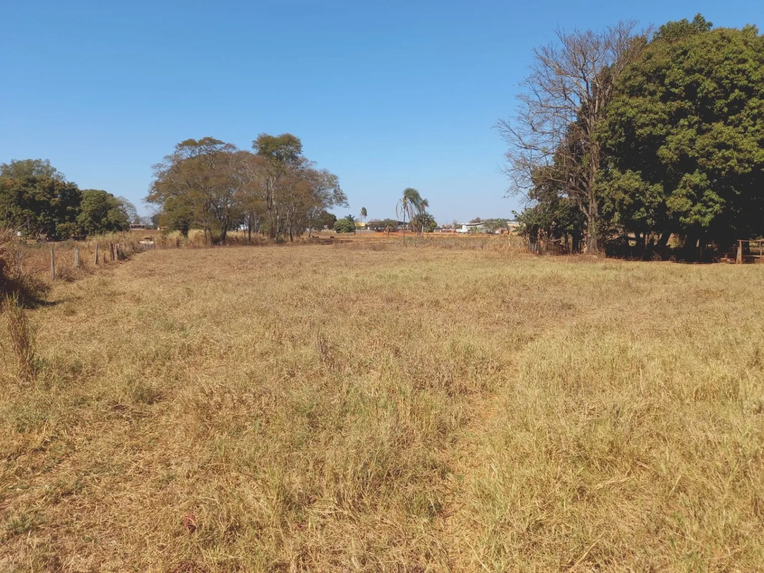 Chácara Para Investimento Em Patos De Minas-Mg.