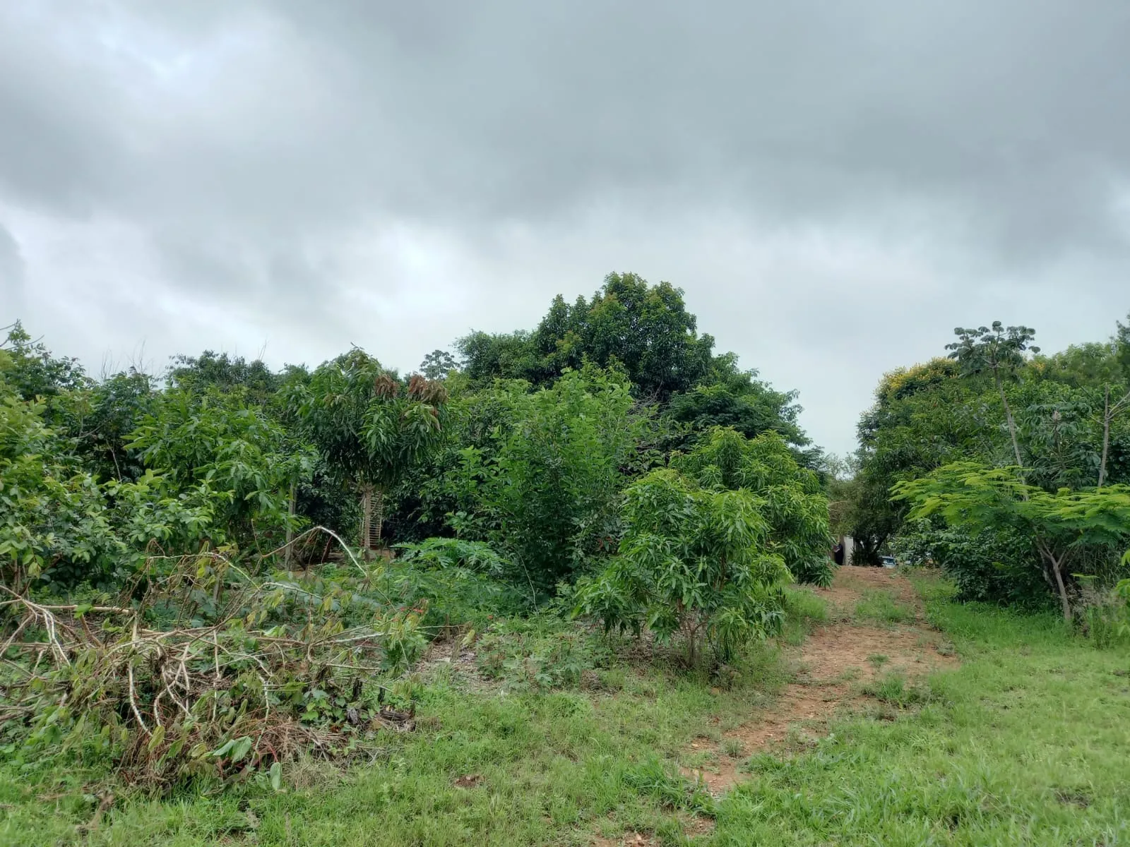 CHÁCARA PARA LAZER EM PATROCÍNIO-MG