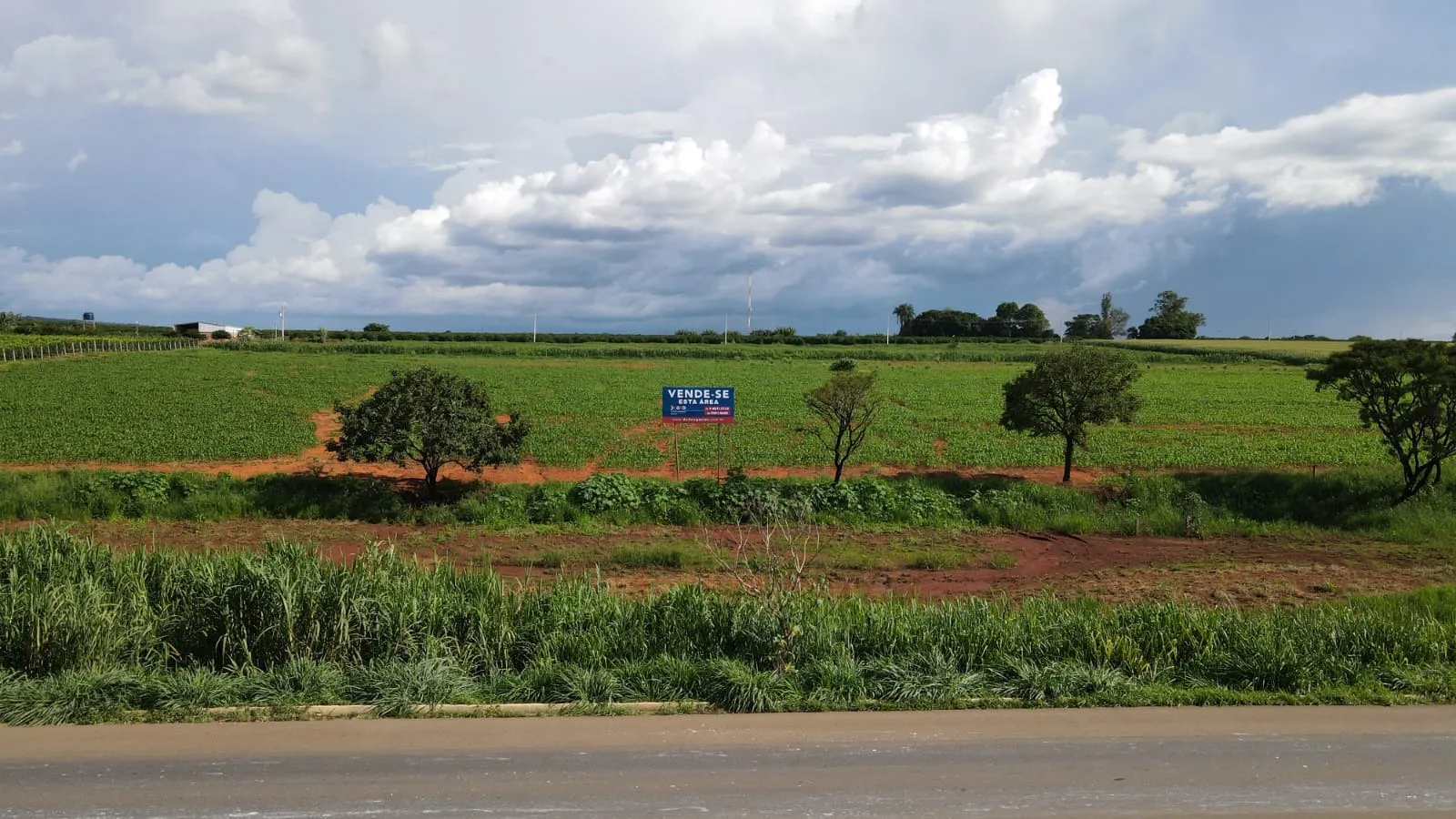 EXCELENTE TERRENO ÀS MARGENS DA BR-365