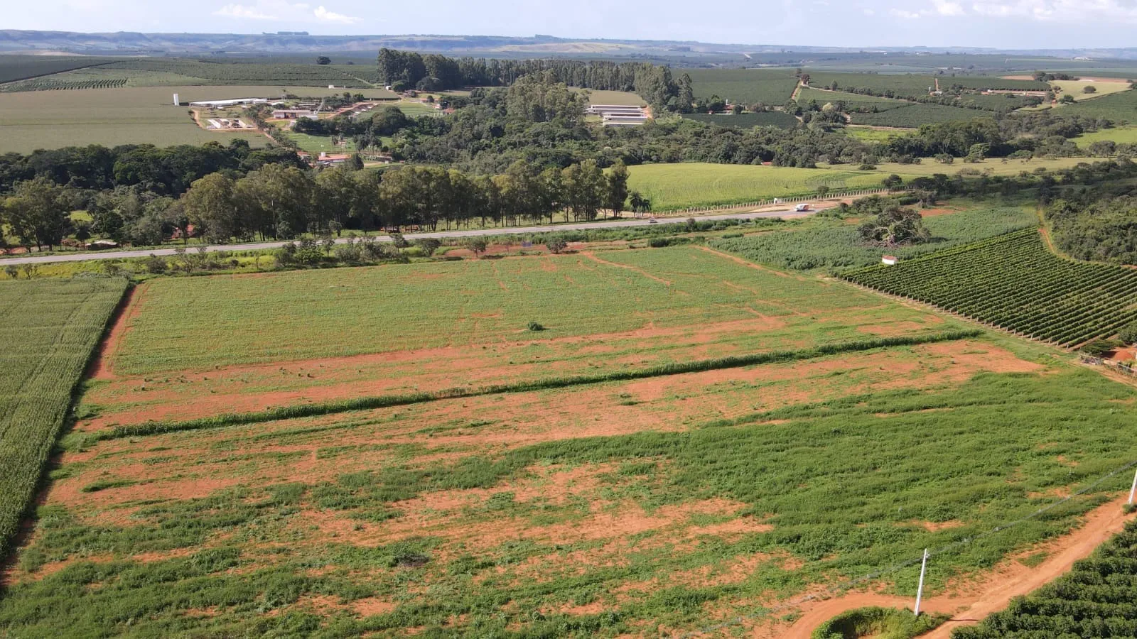 EXCELENTE TERRENO ÀS MARGENS DA BR-365