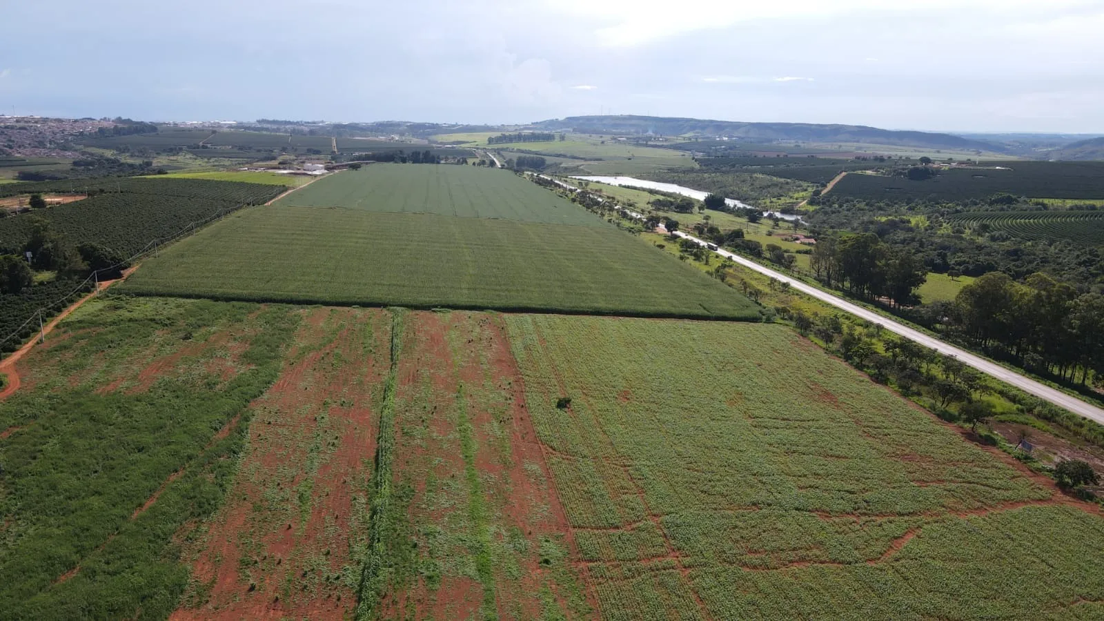 EXCELENTE TERRENO ÀS MARGENS DA BR-365