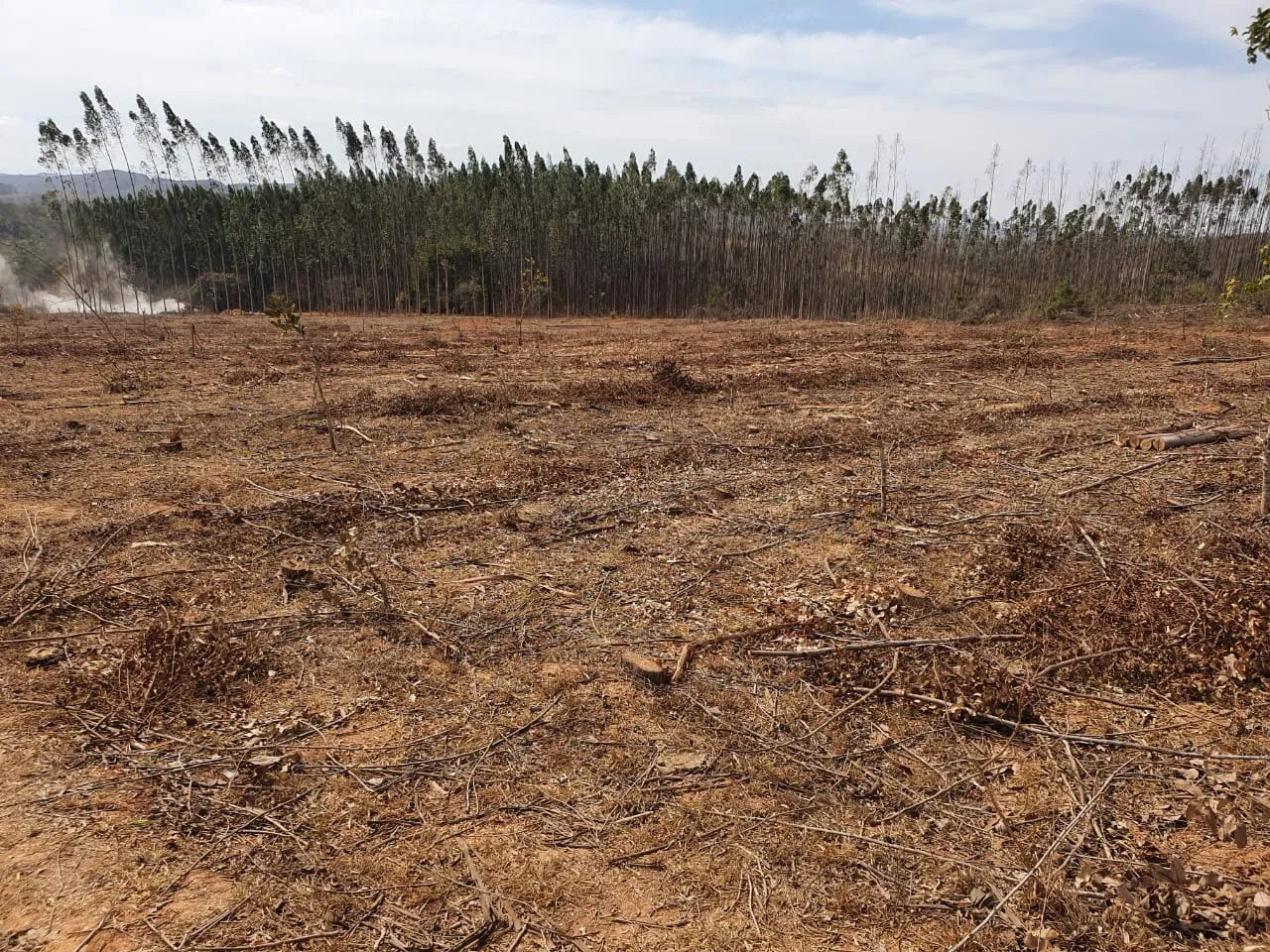 FAZENDA PARA GADO E PLANTIO ENTRE COROMANDEL E PATROCINIO