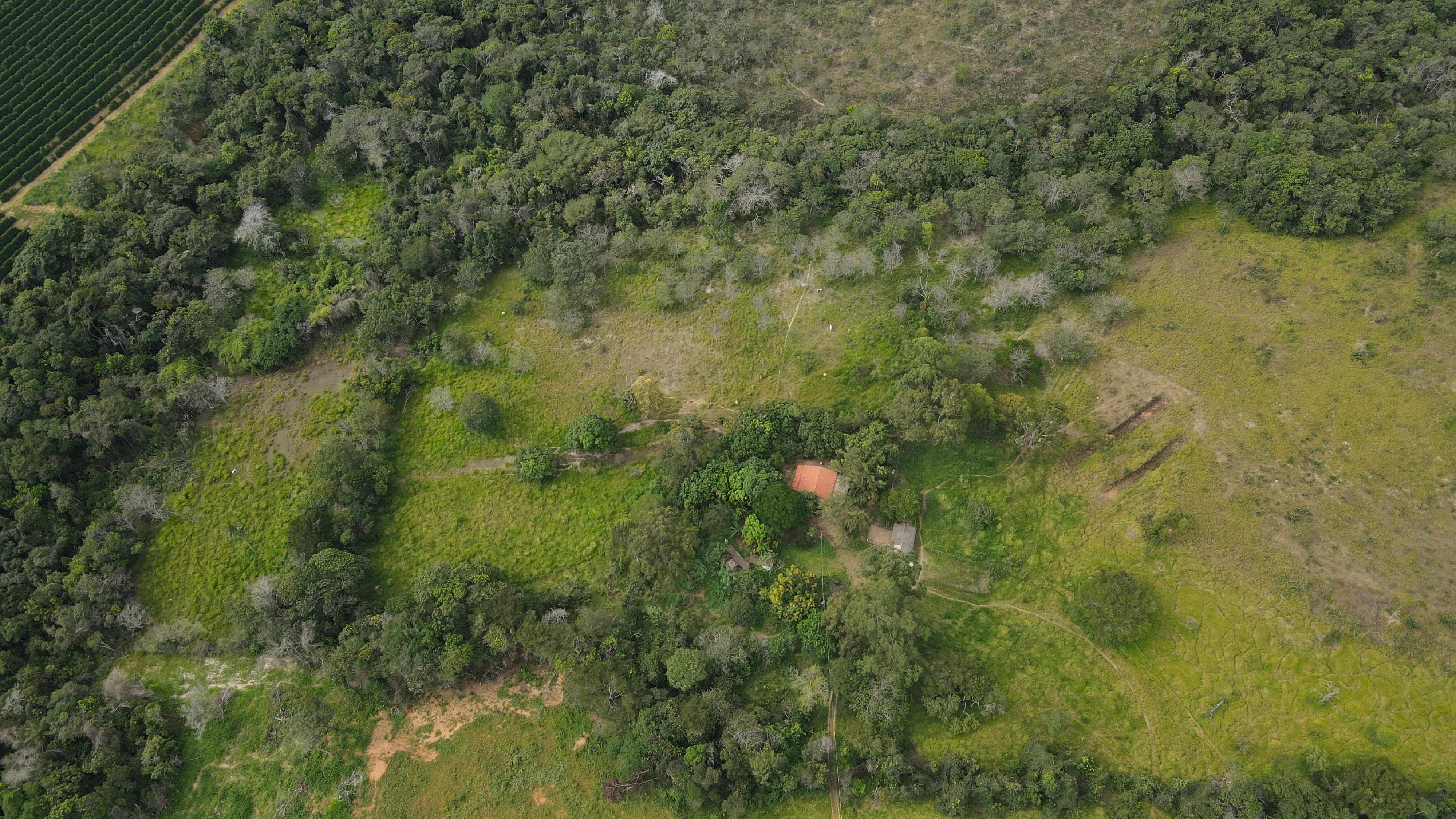 FAZENDA PÉ DE GALINHA PATROCÍNIO- MG