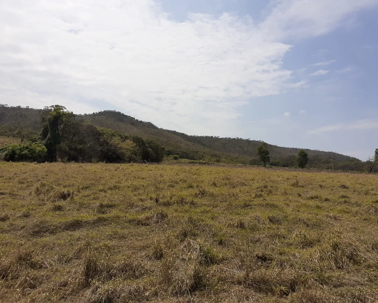 FAZENDA PÉ DE GALINHA PATROCÍNIO- MG