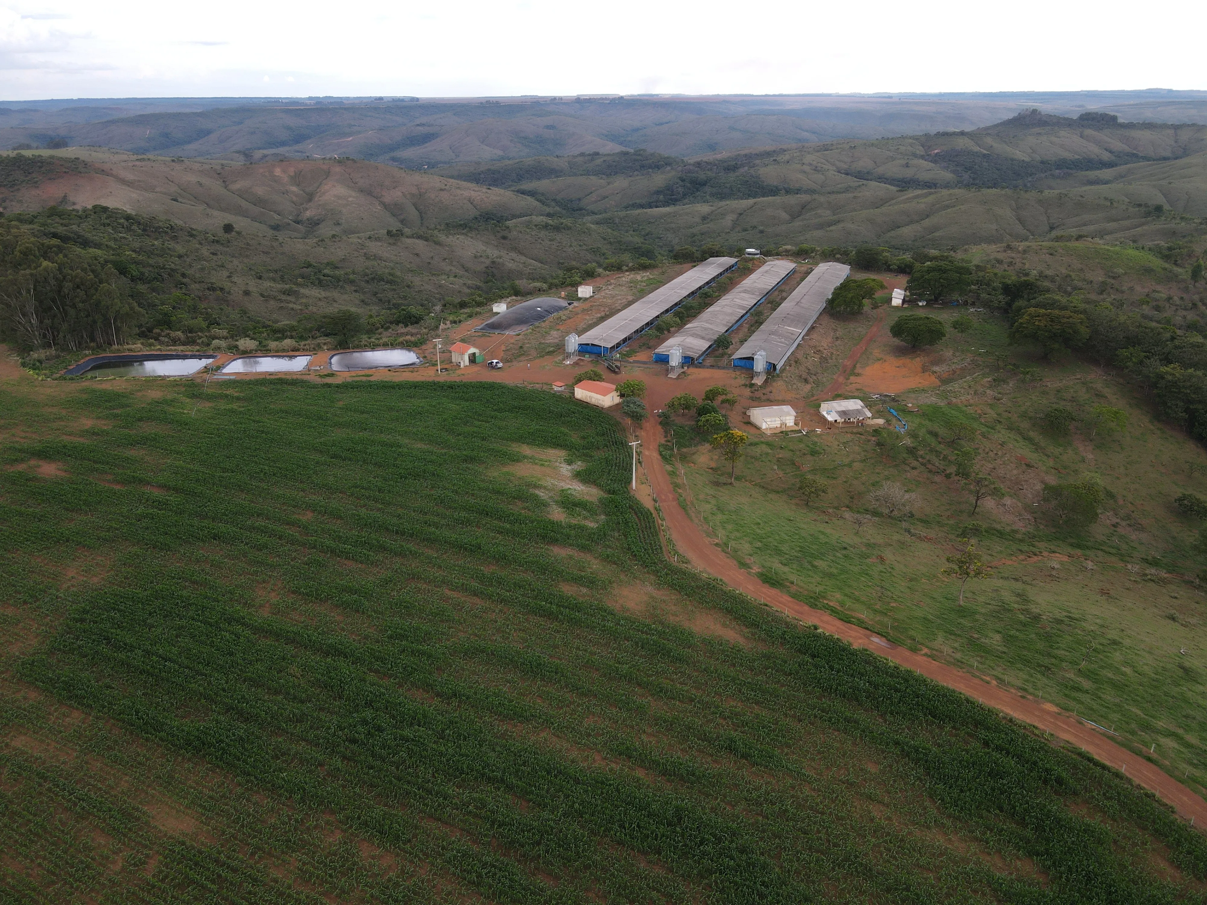 FAZENDA ALTAMENTE RENTÁVEL ENTRE COROMANDEL E PATROCÍNIO-MG.