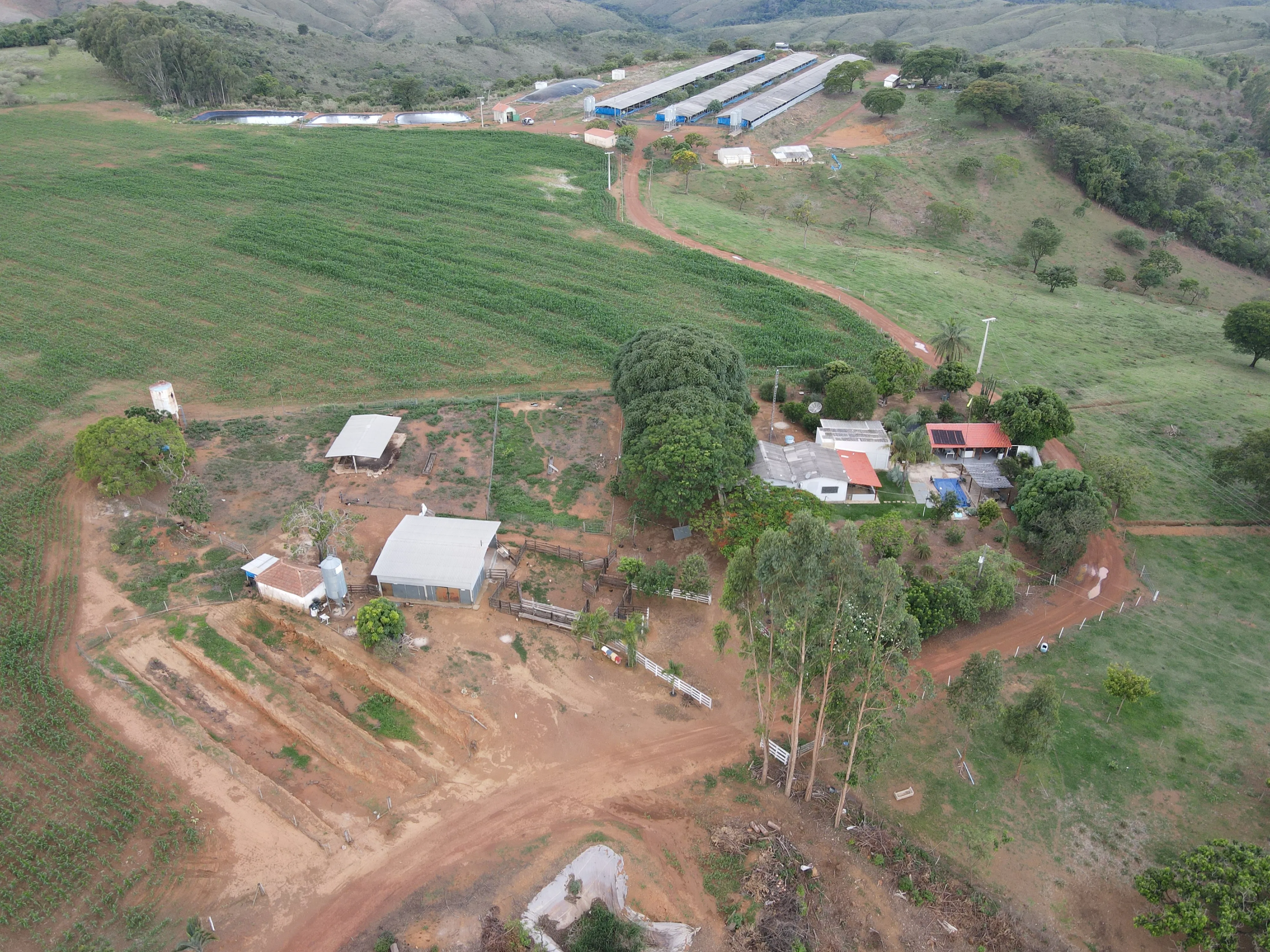 FAZENDA ALTAMENTE RENTÁVEL ENTRE COROMANDEL E PATROCÍNIO-MG.