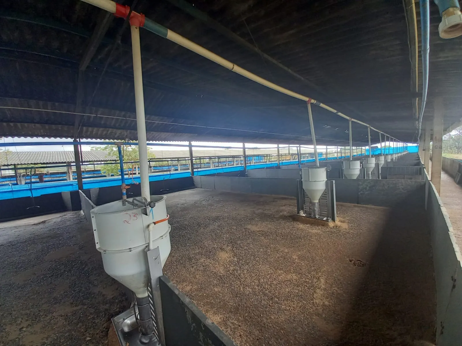 FAZENDA ALTAMENTE RENTÁVEL ENTRE COROMANDEL E PATROCÍNIO-MG.