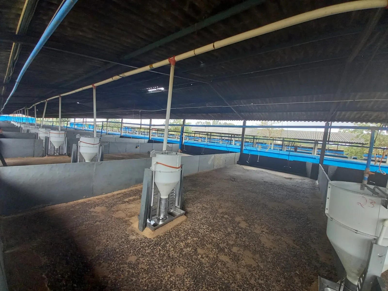 FAZENDA ALTAMENTE RENTÁVEL ENTRE COROMANDEL E PATROCÍNIO-MG.