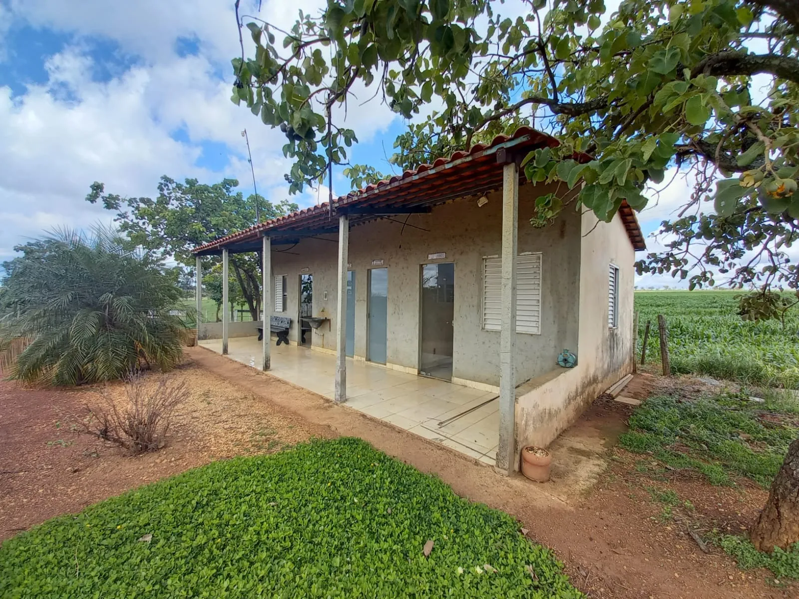 FAZENDA ALTAMENTE RENTÁVEL ENTRE COROMANDEL E PATROCÍNIO-MG.