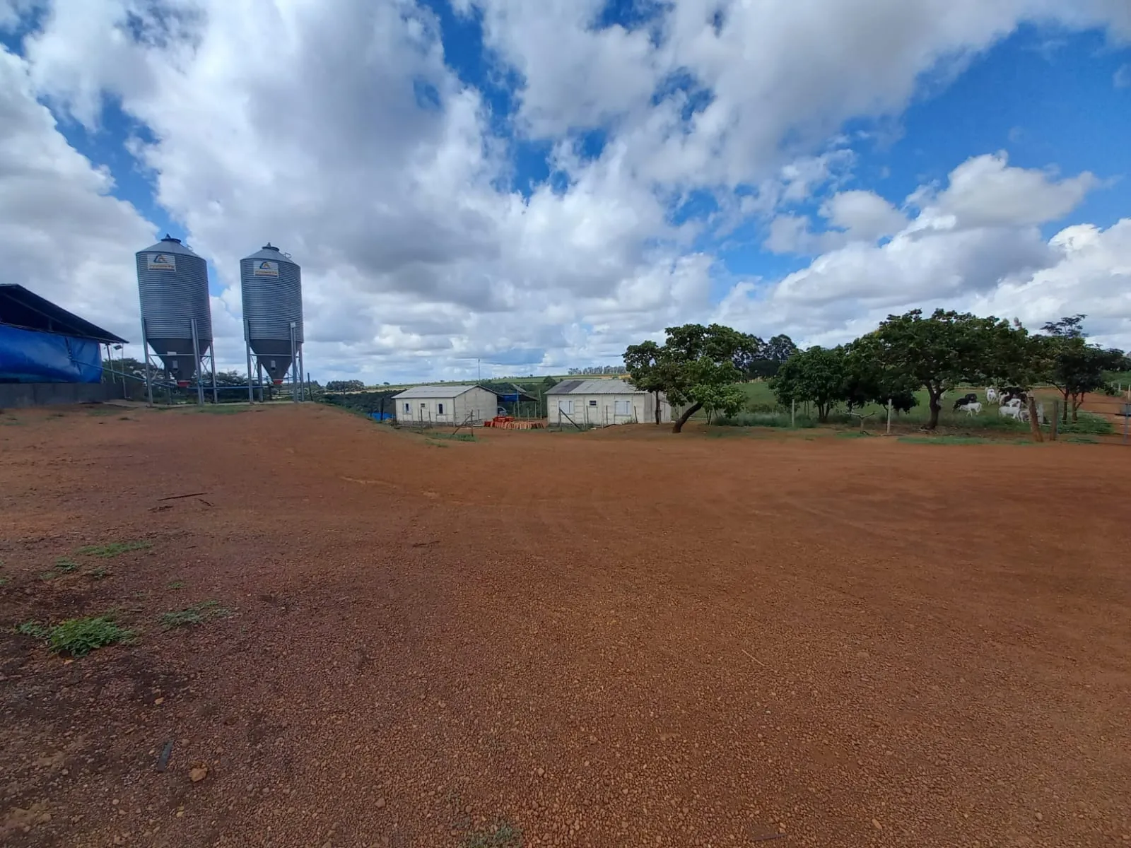 FAZENDA ALTAMENTE RENTÁVEL ENTRE COROMANDEL E PATROCÍNIO-MG.
