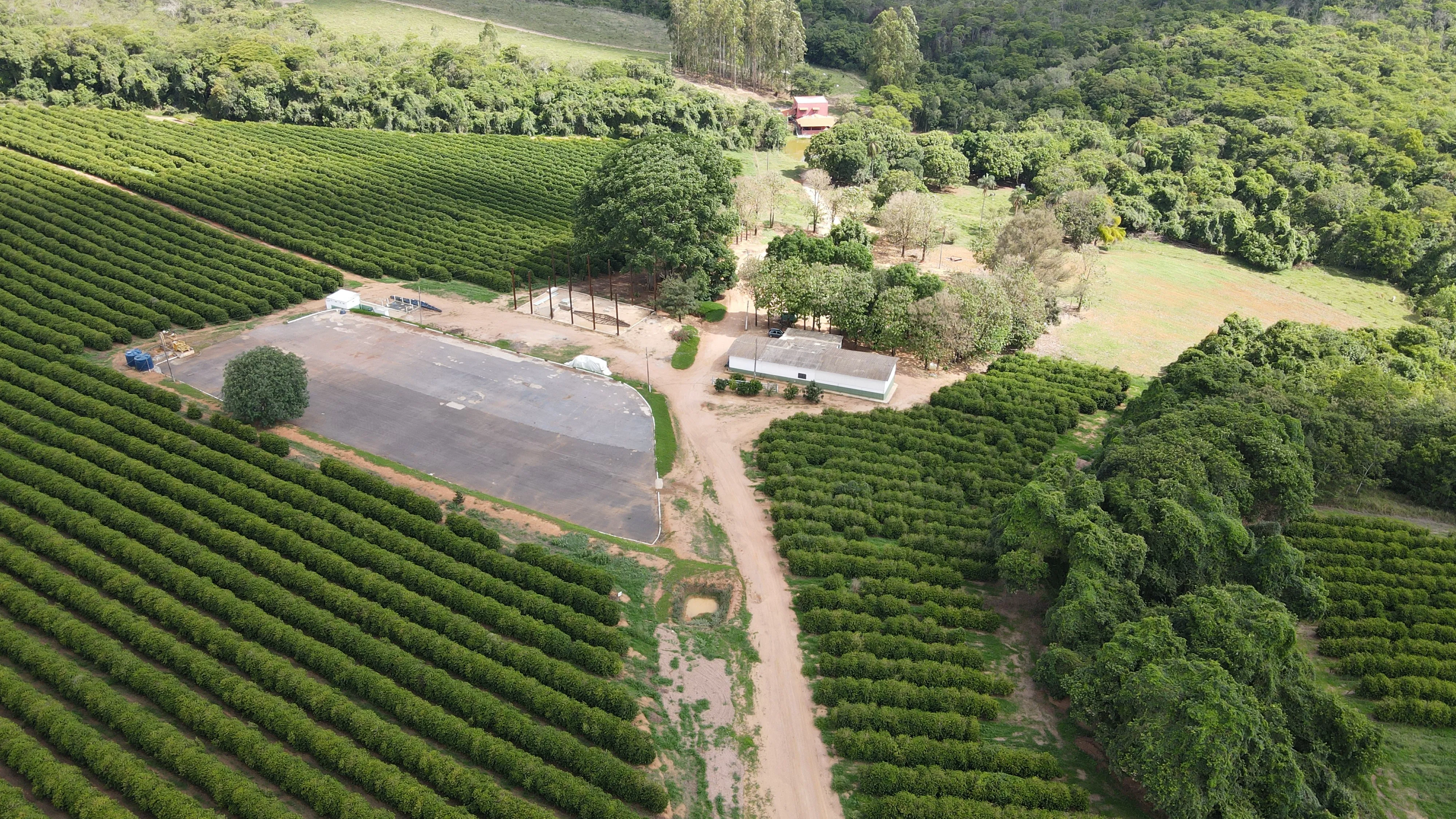 FAZENDA NA REGIÃO DO RIO PIRAPITINGA COM DUPLA APTIDÃO- PATROCÍNIO -MG