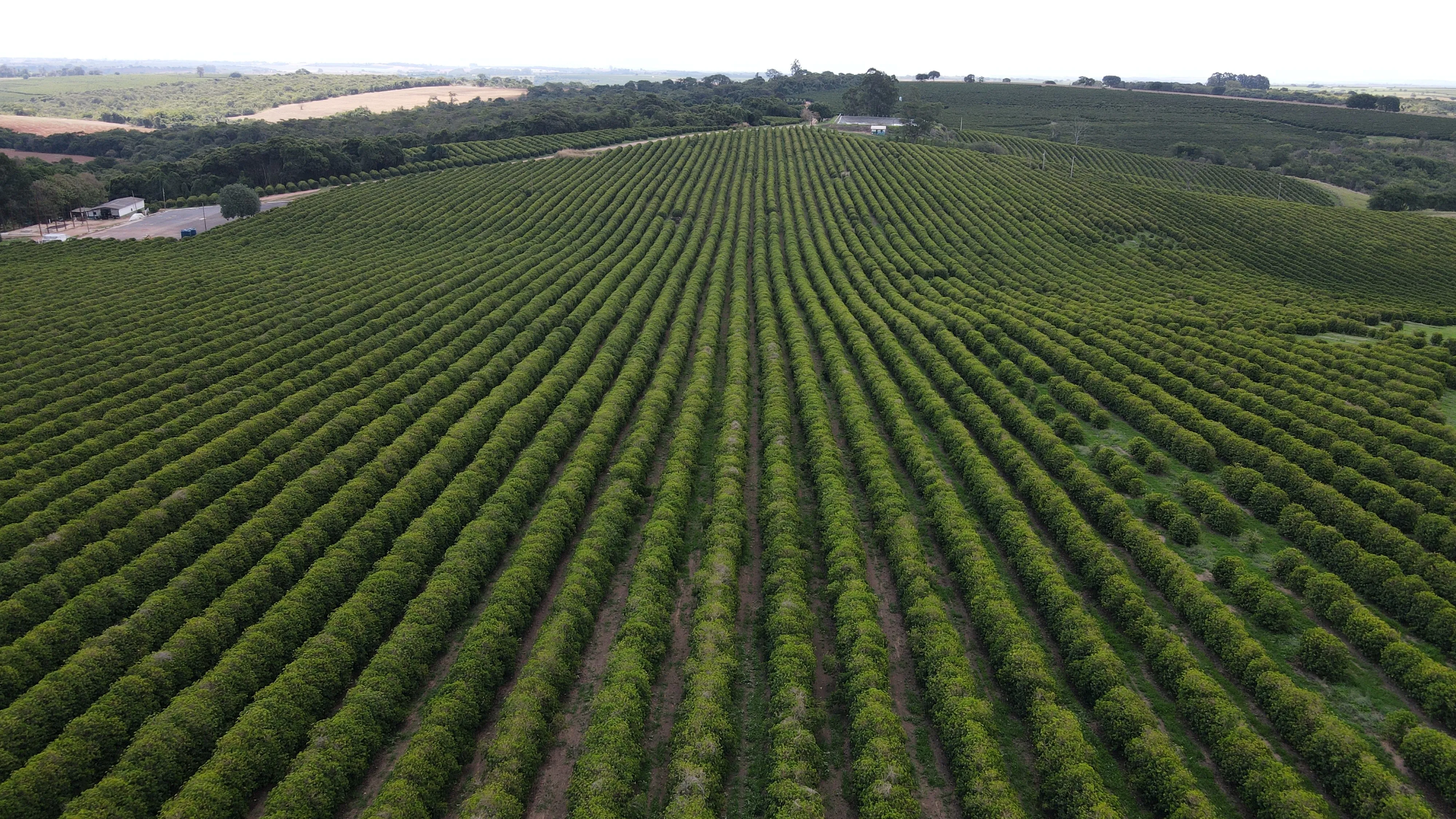 FAZENDA NA REGIÃO DO RIO PIRAPITINGA COM DUPLA APTIDÃO- PATROCÍNIO -MG