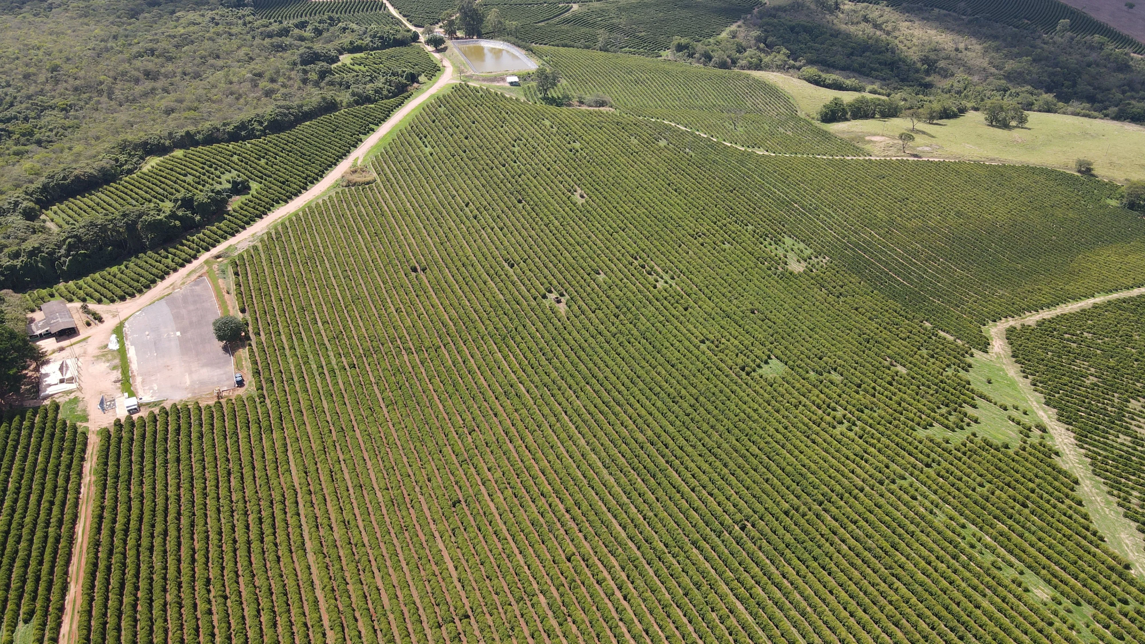 FAZENDA NA REGIÃO DO RIO PIRAPITINGA COM DUPLA APTIDÃO- PATROCÍNIO -MG