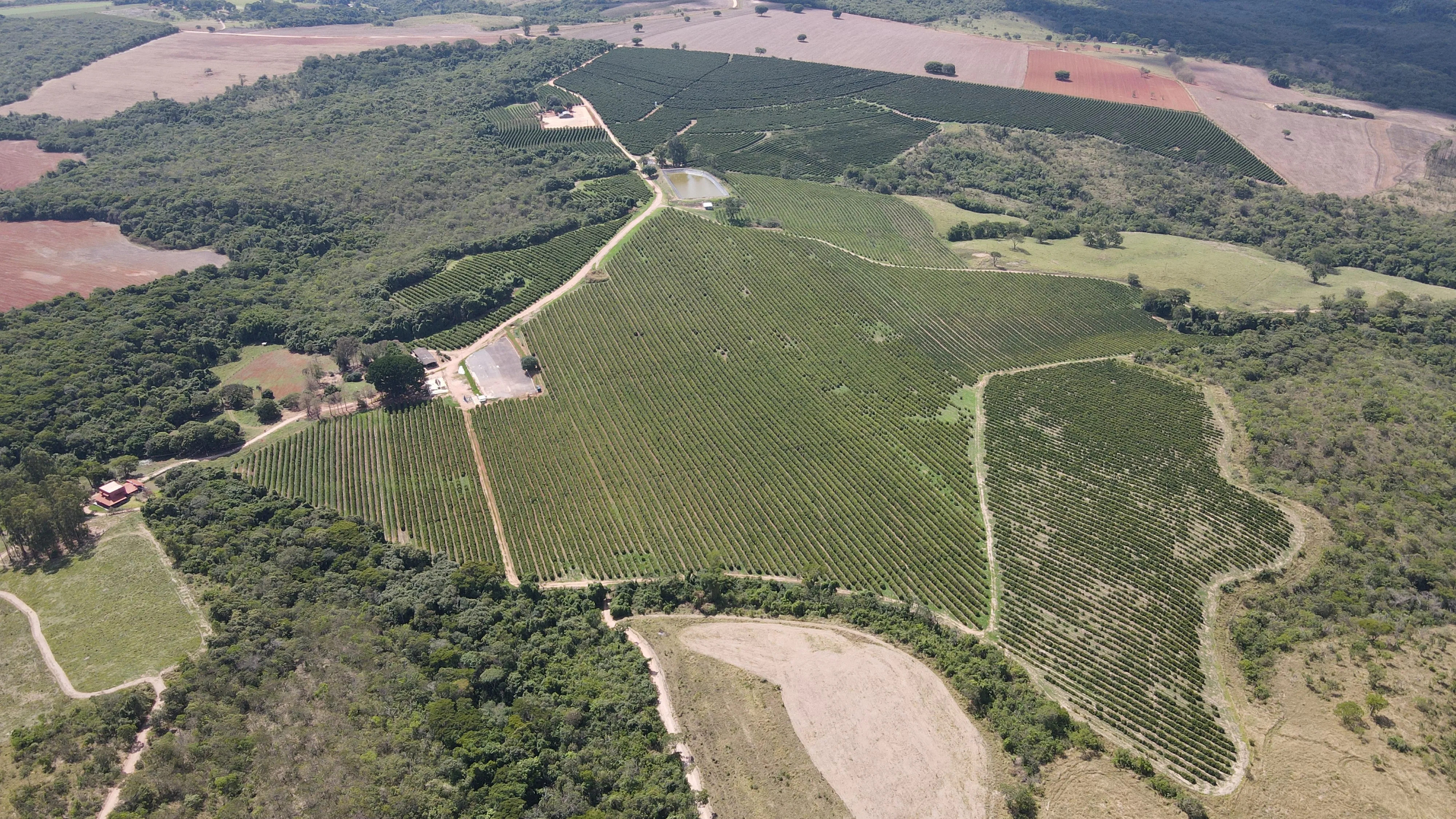 FAZENDA NA REGIÃO DO RIO PIRAPITINGA COM DUPLA APTIDÃO- PATROCÍNIO -MG