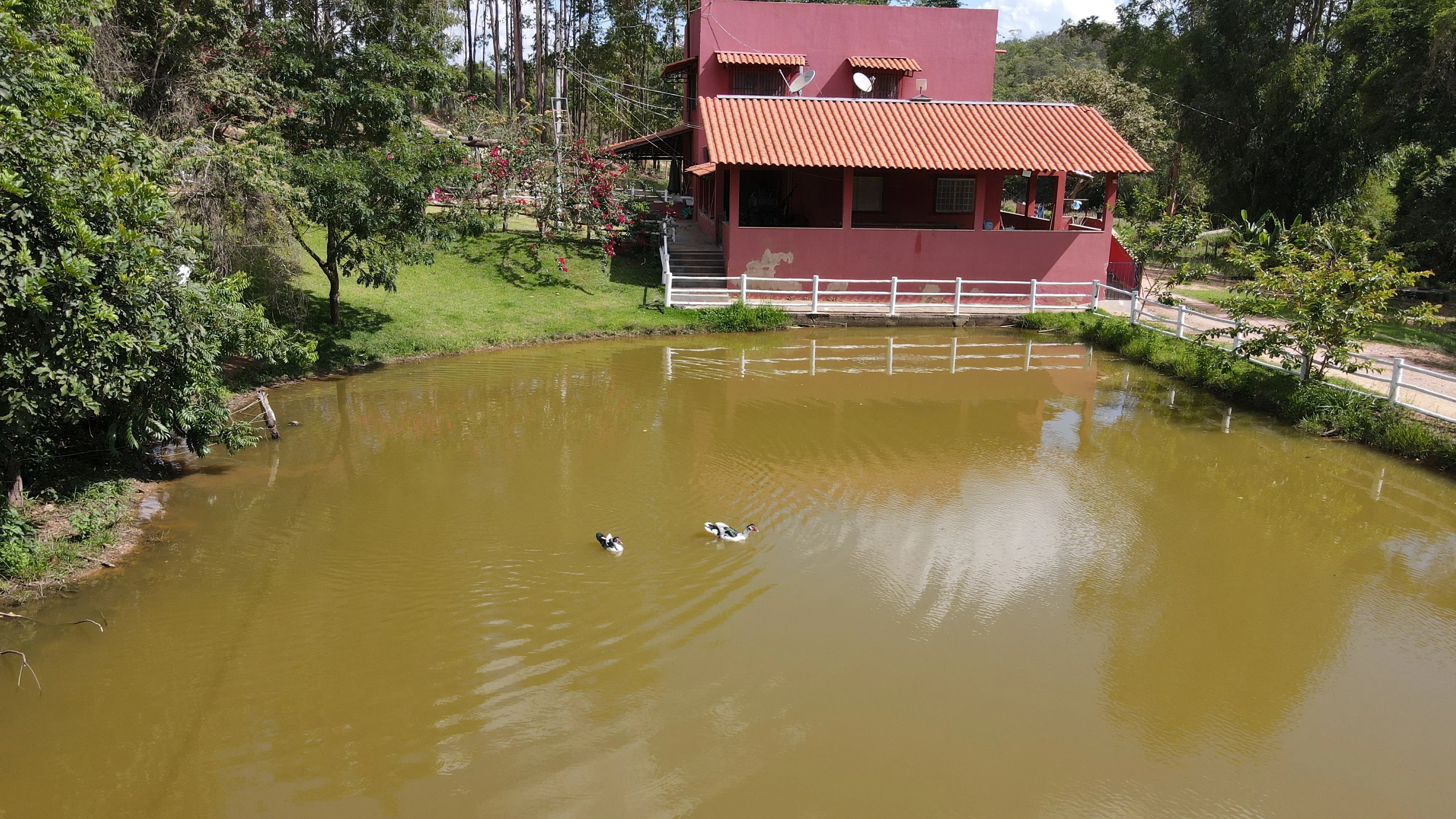 FAZENDA NA REGIÃO DO RIO PIRAPITINGA COM DUPLA APTIDÃO- PATROCÍNIO -MG
