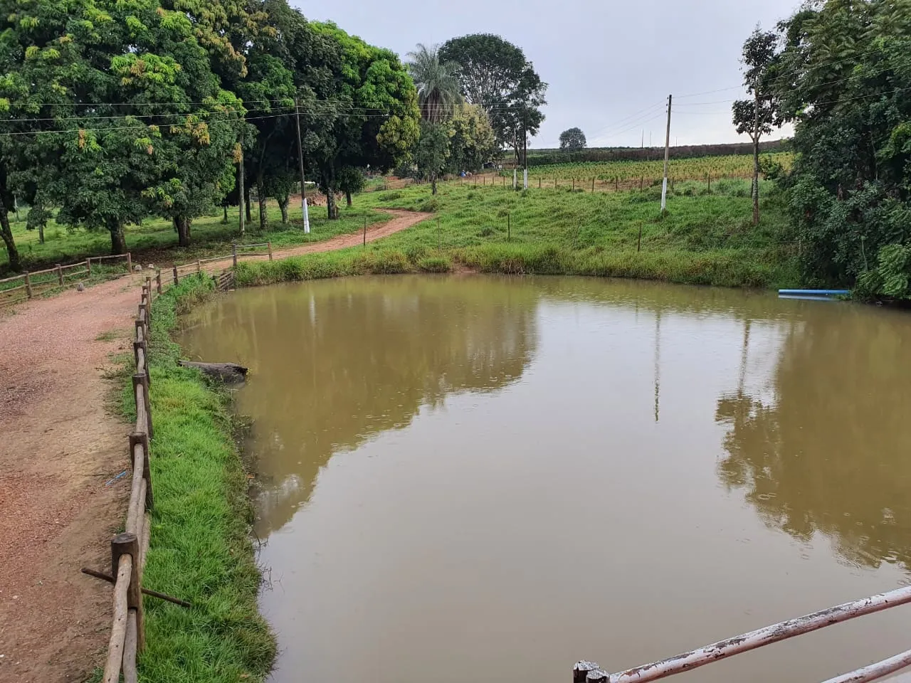 FAZENDA NA REGIÃO DO RIO PIRAPITINGA COM DUPLA APTIDÃO- PATROCÍNIO -MG