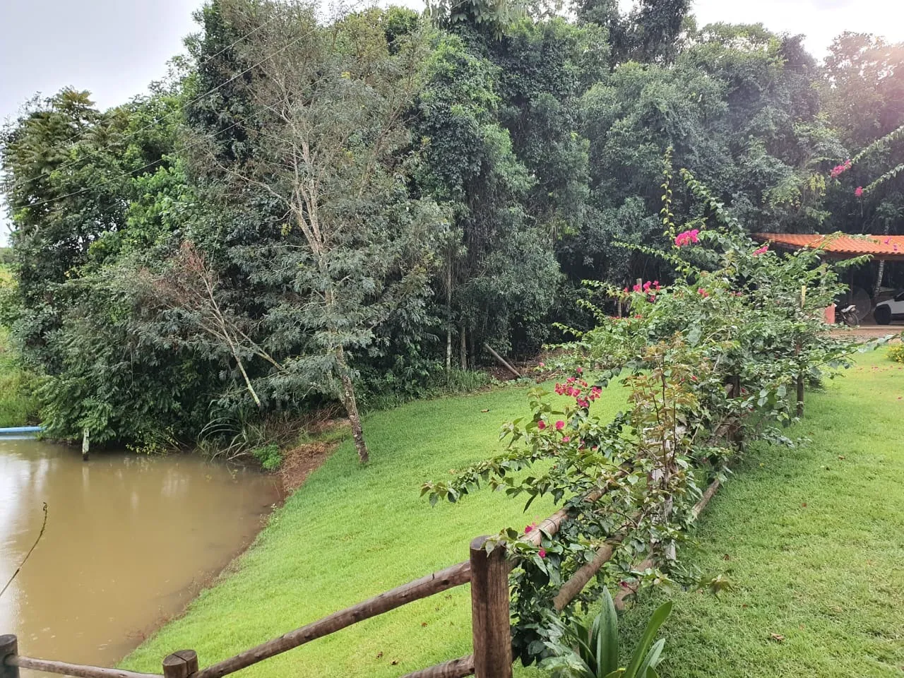 FAZENDA NA REGIÃO DO RIO PIRAPITINGA COM DUPLA APTIDÃO- PATROCÍNIO -MG