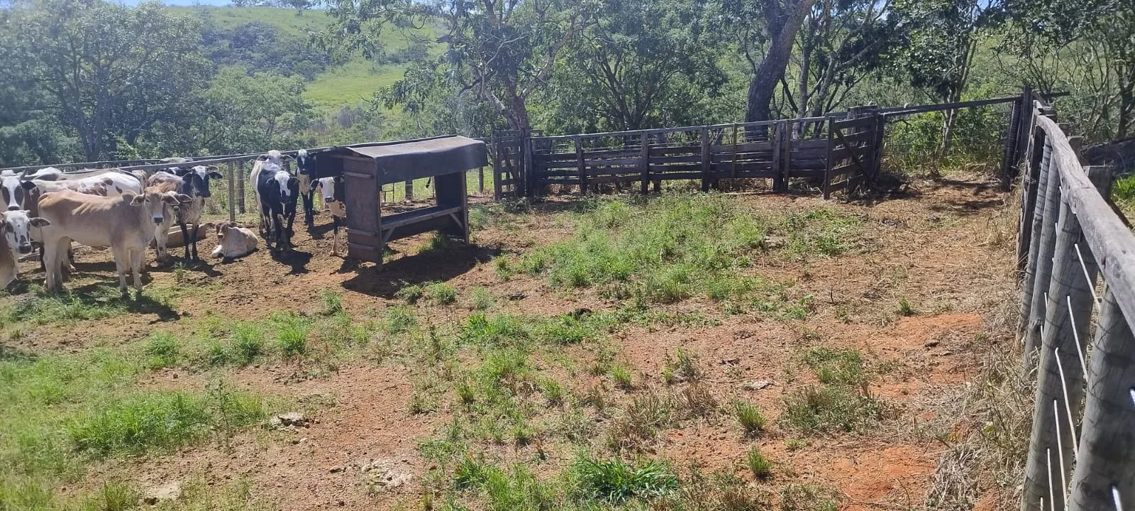FAZENDA DUPLA APTIDÃO A VENDA EM LAGAMAR - MG