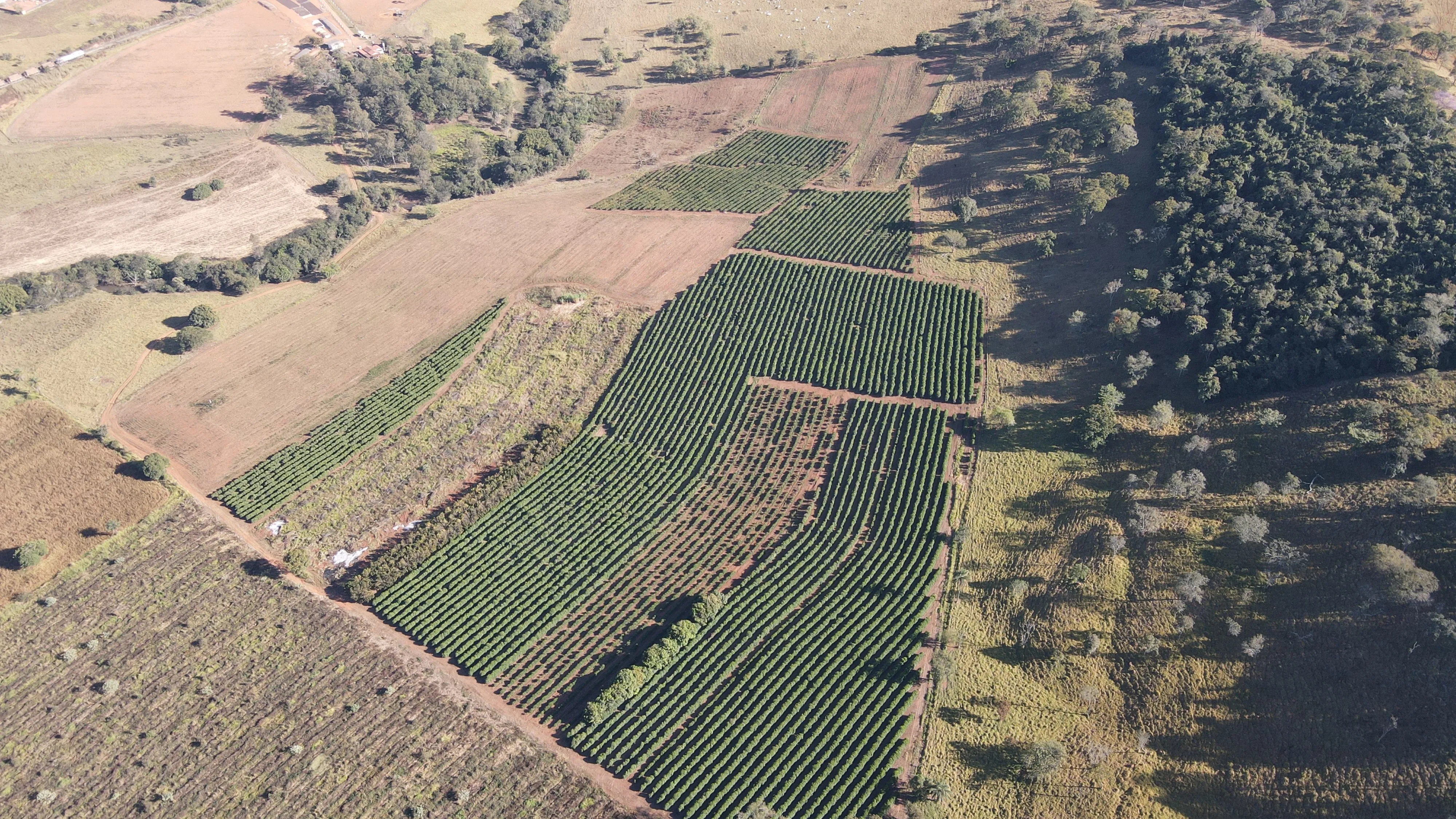 FAZENDA PARA PLANTIO DE CAFÉ EM PATROCÍNIO/MG