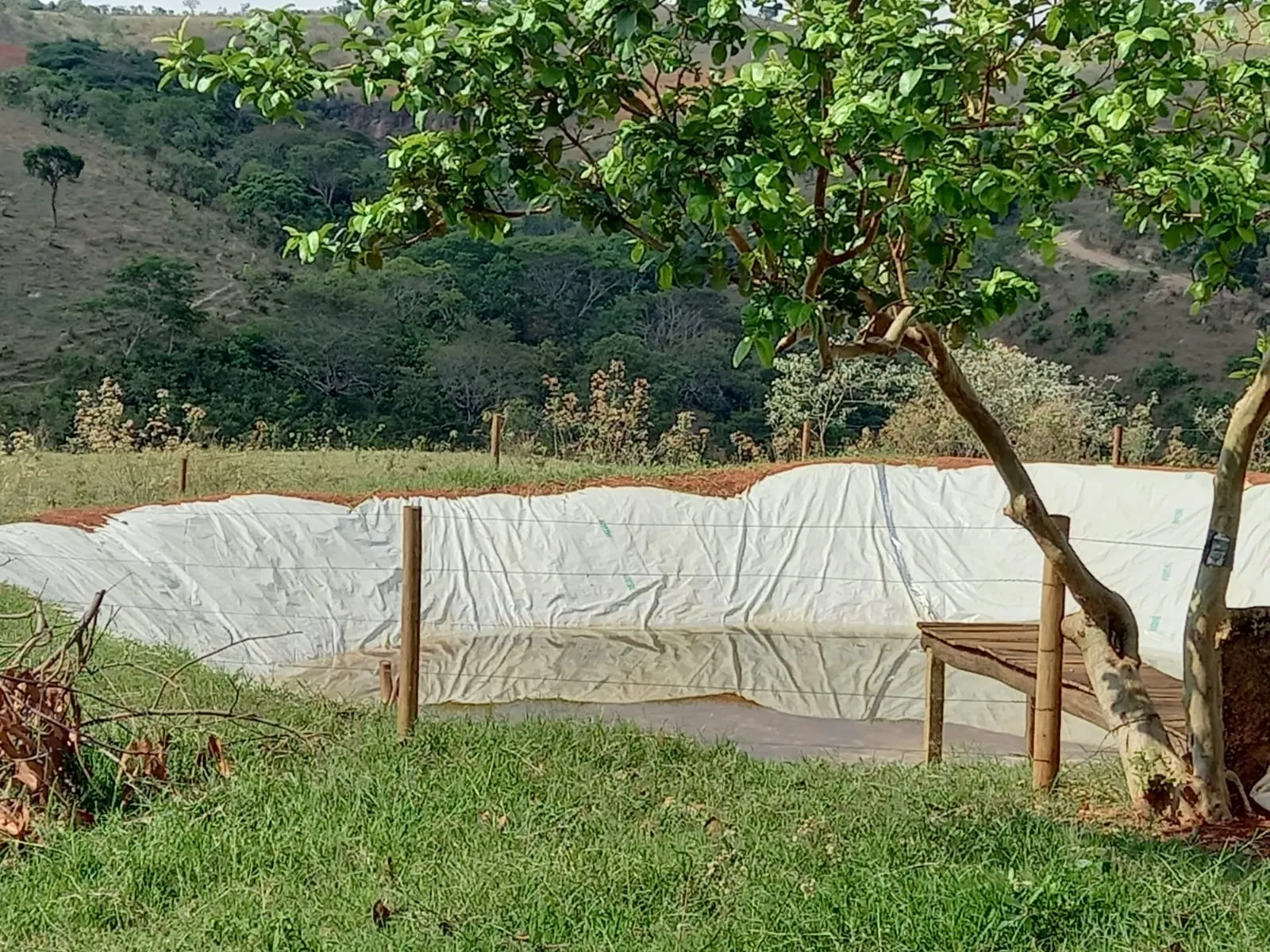 FAZENDA PRÓXIMA À RODOVIA ENTRE RIO PARANAÍBA E SERRA DO SALITRE