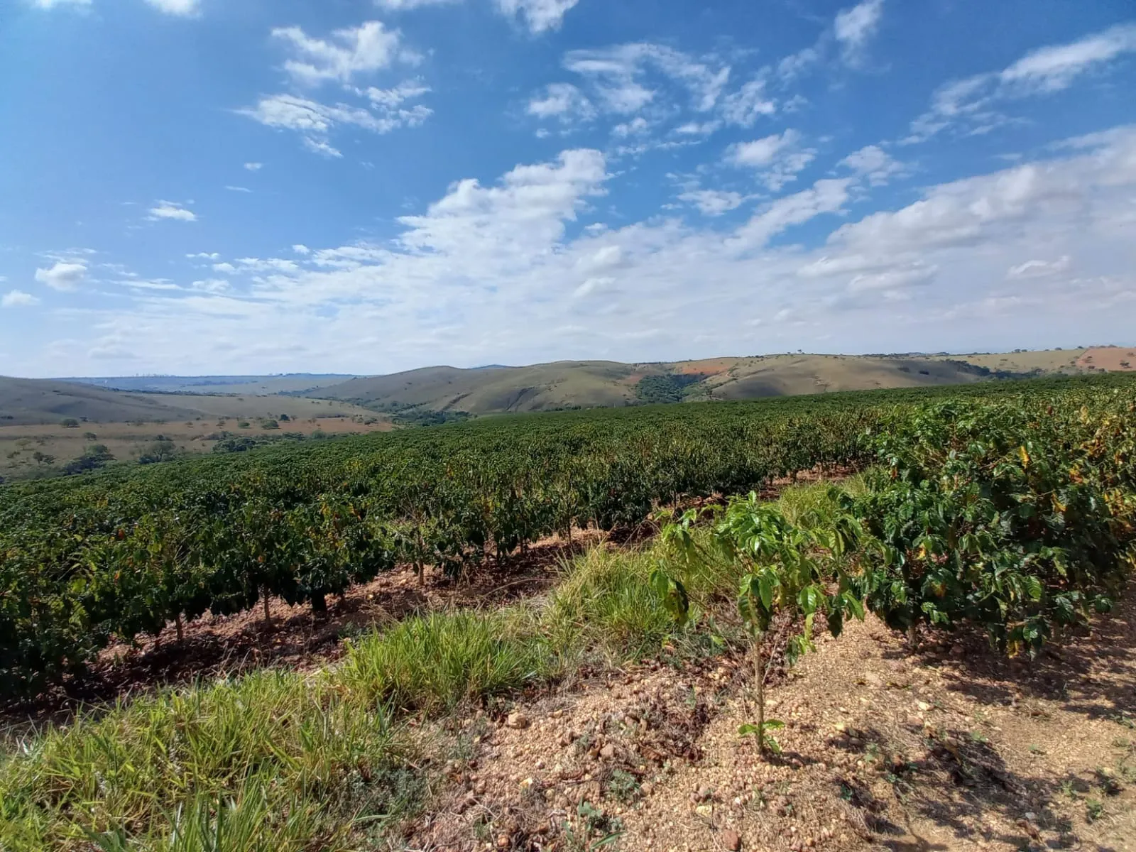 FAZENDA PRÓXIMA À RODOVIA ENTRE RIO PARANAÍBA E SERRA DO SALITRE