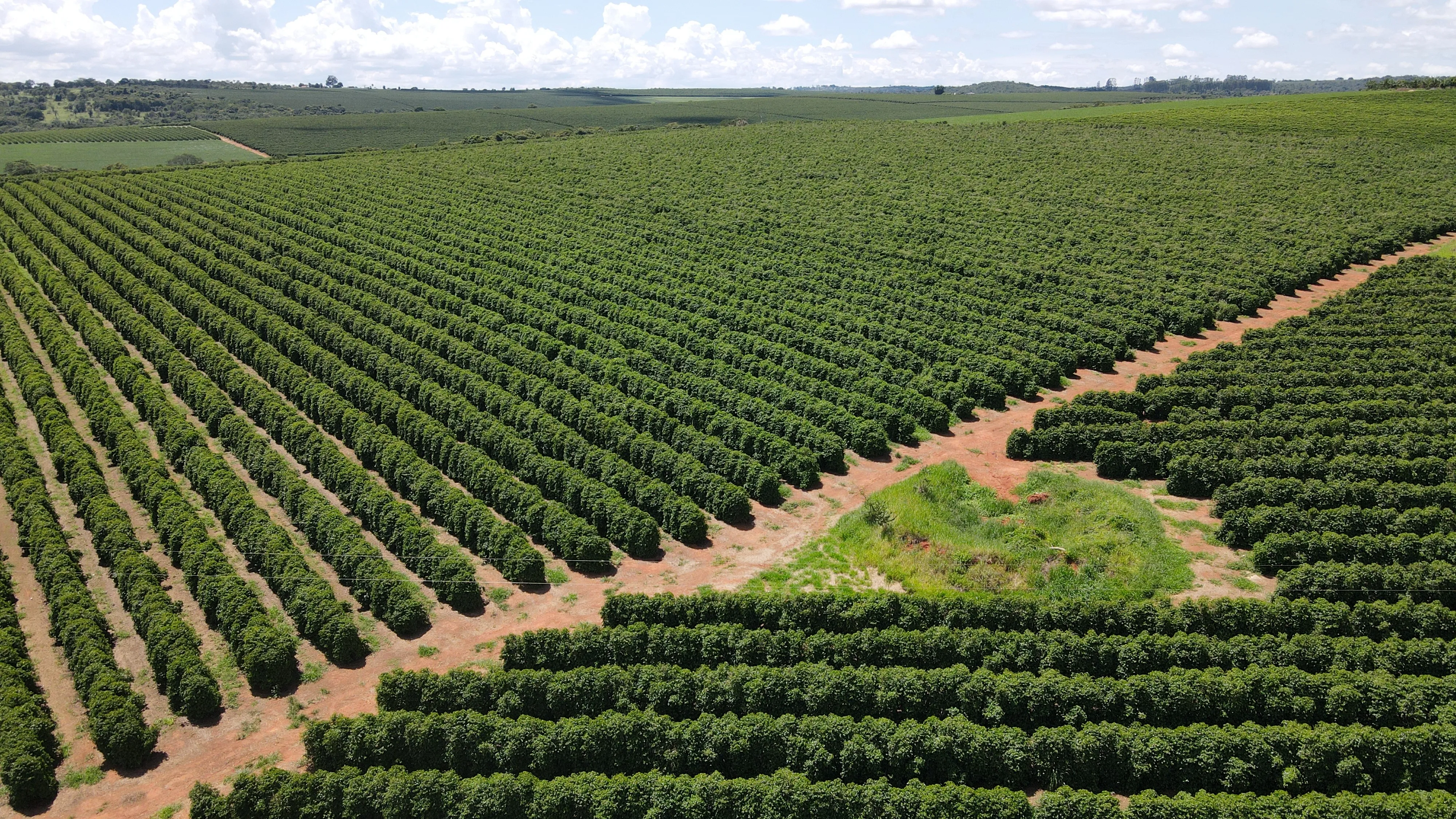 FAZENDA PRODUTORA DE CAFÉ À VENDA EM PATROCÍNIO/MG