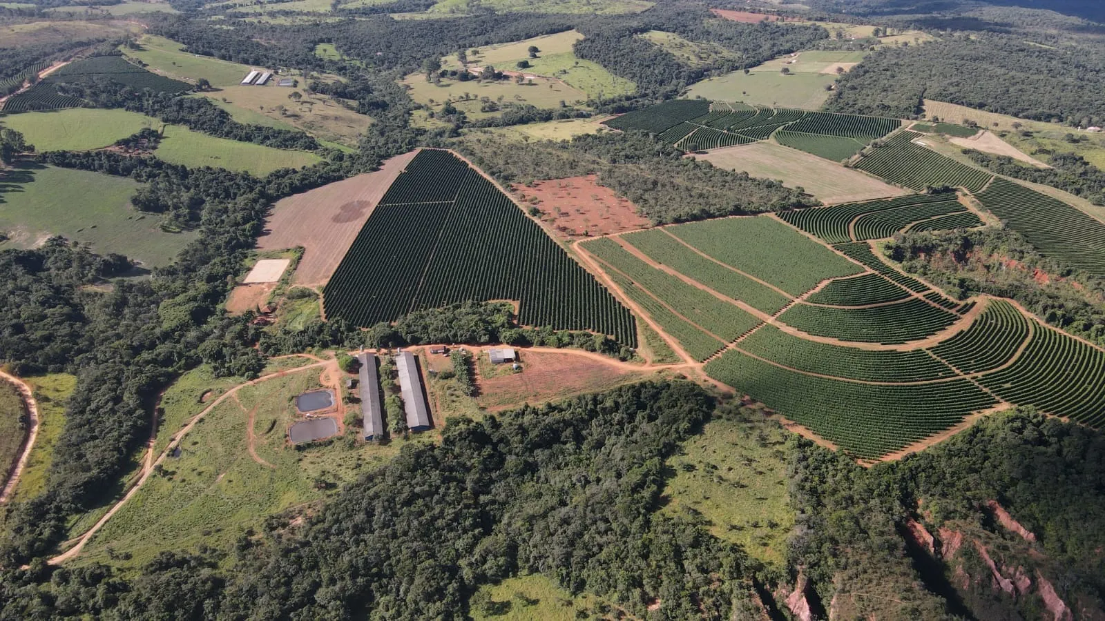 FAZENDA CAFEEIRA COM GRANJA DE SUÍNOS EM PATROCÍNIO/MG
