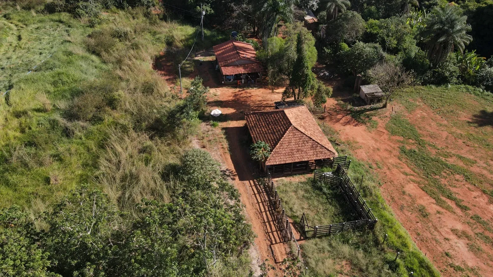 FAZENDA CAFEEIRA COM GRANJA DE SUÍNOS EM PATROCÍNIO/MG