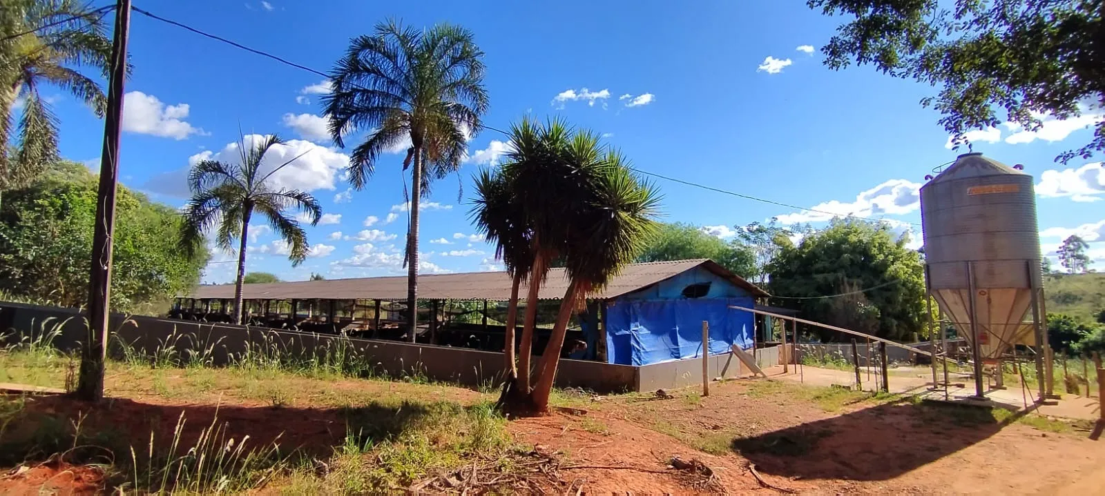 FAZENDA CAFEEIRA COM GRANJA DE SUÍNOS EM PATROCÍNIO/MG