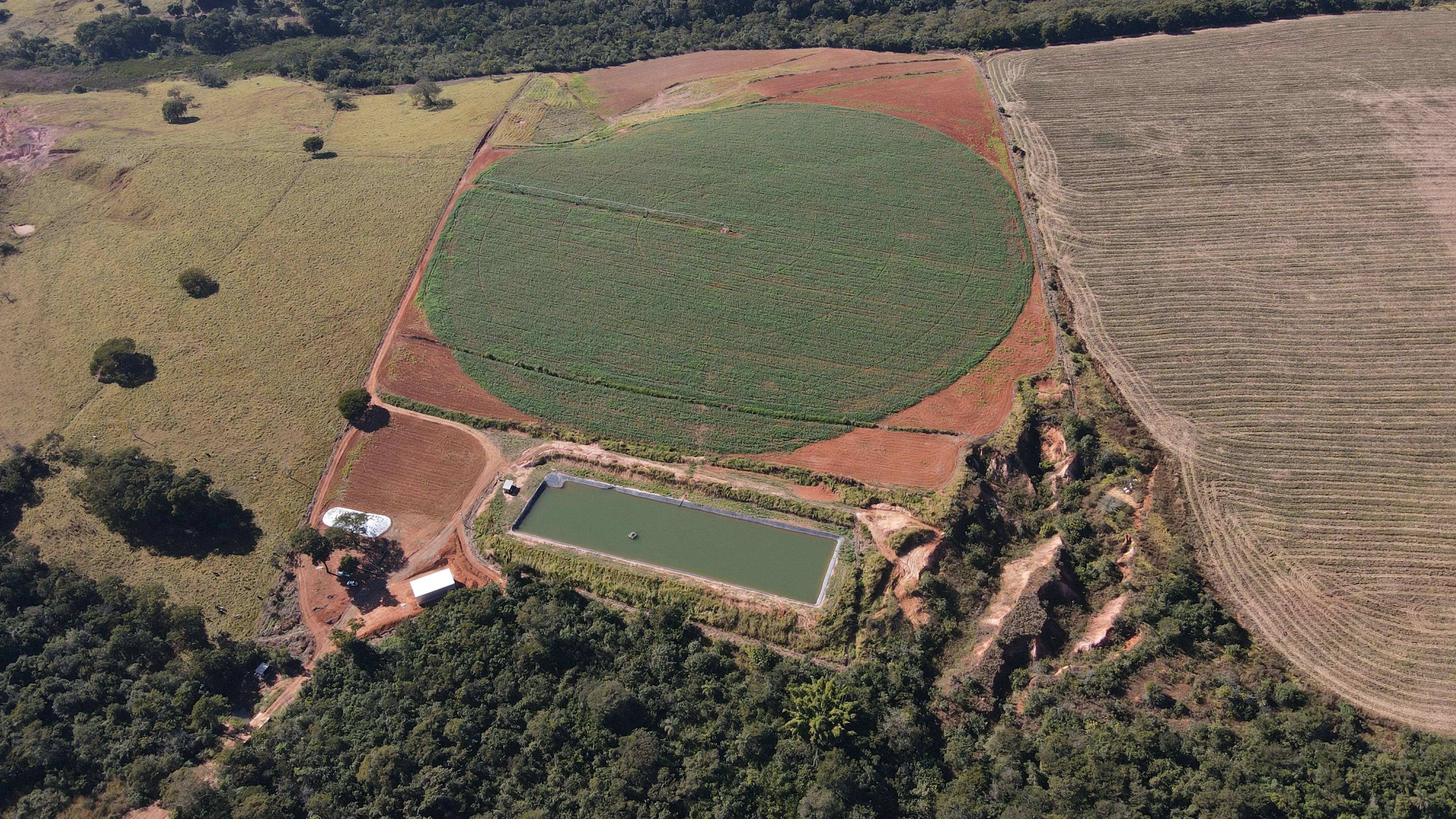 FAZENDA COM PIVÔ PARA HF E CEREAIS