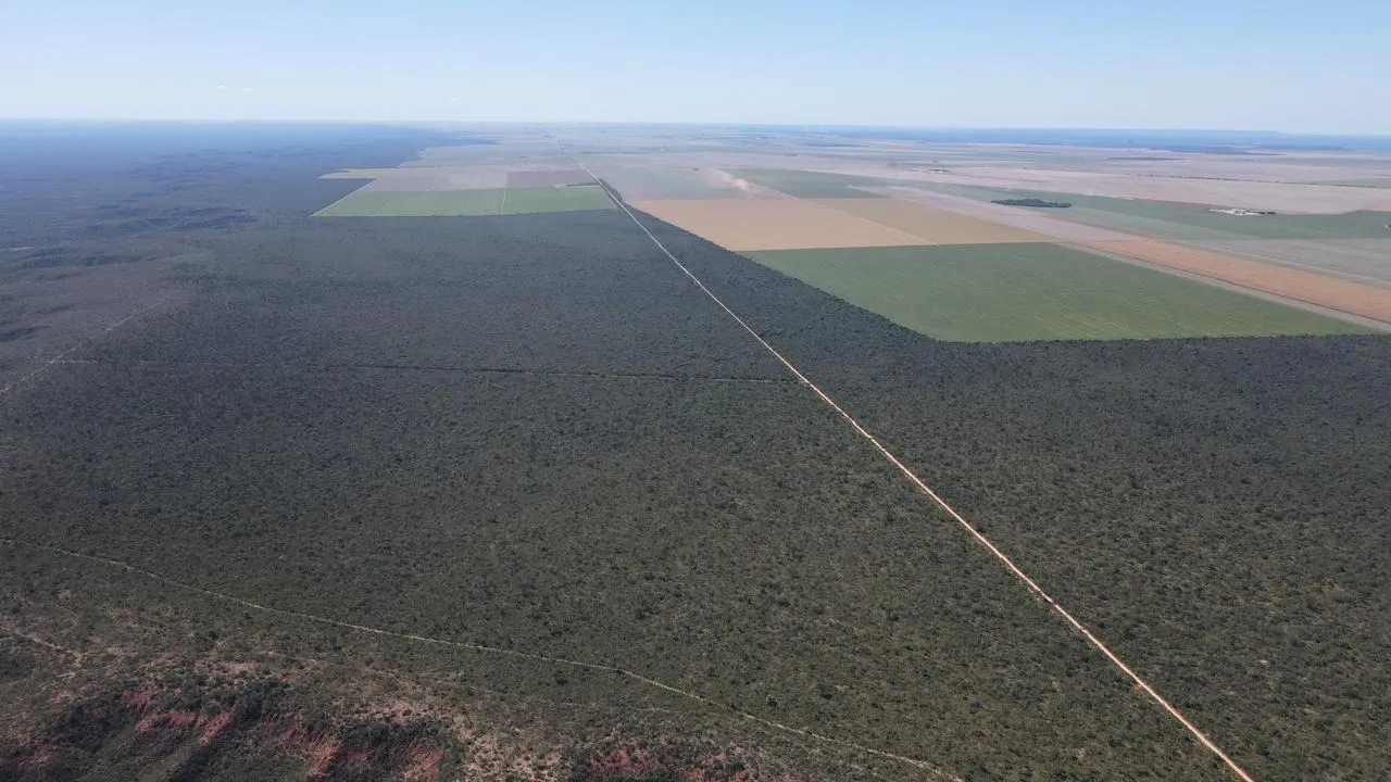 EXCELENTE FAZENDA EM CHAPADA GAÚCHA