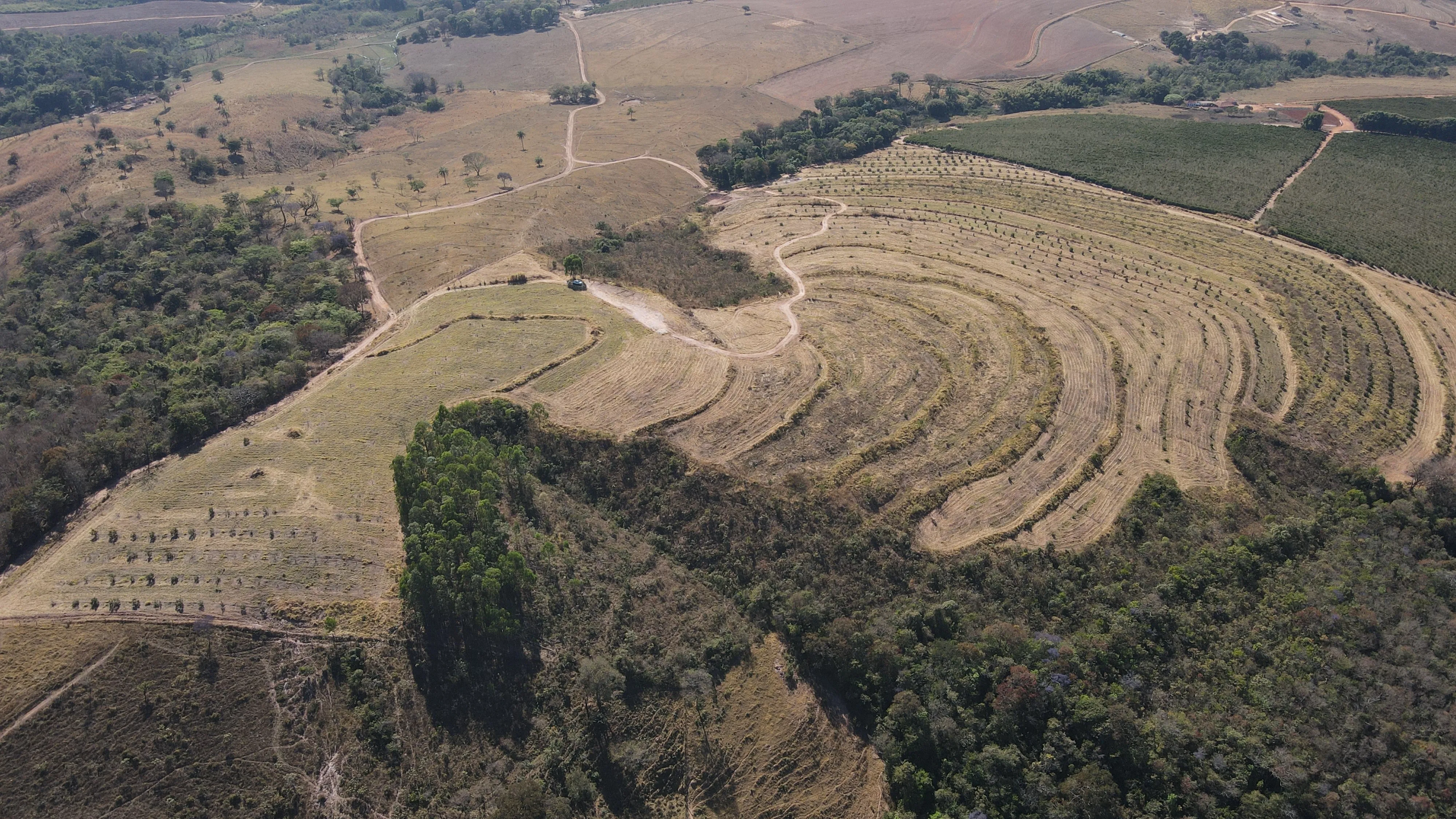 FAZENDA PARA PRODUÇÃO DE ABACATE EM PATROCÍNIO/MG