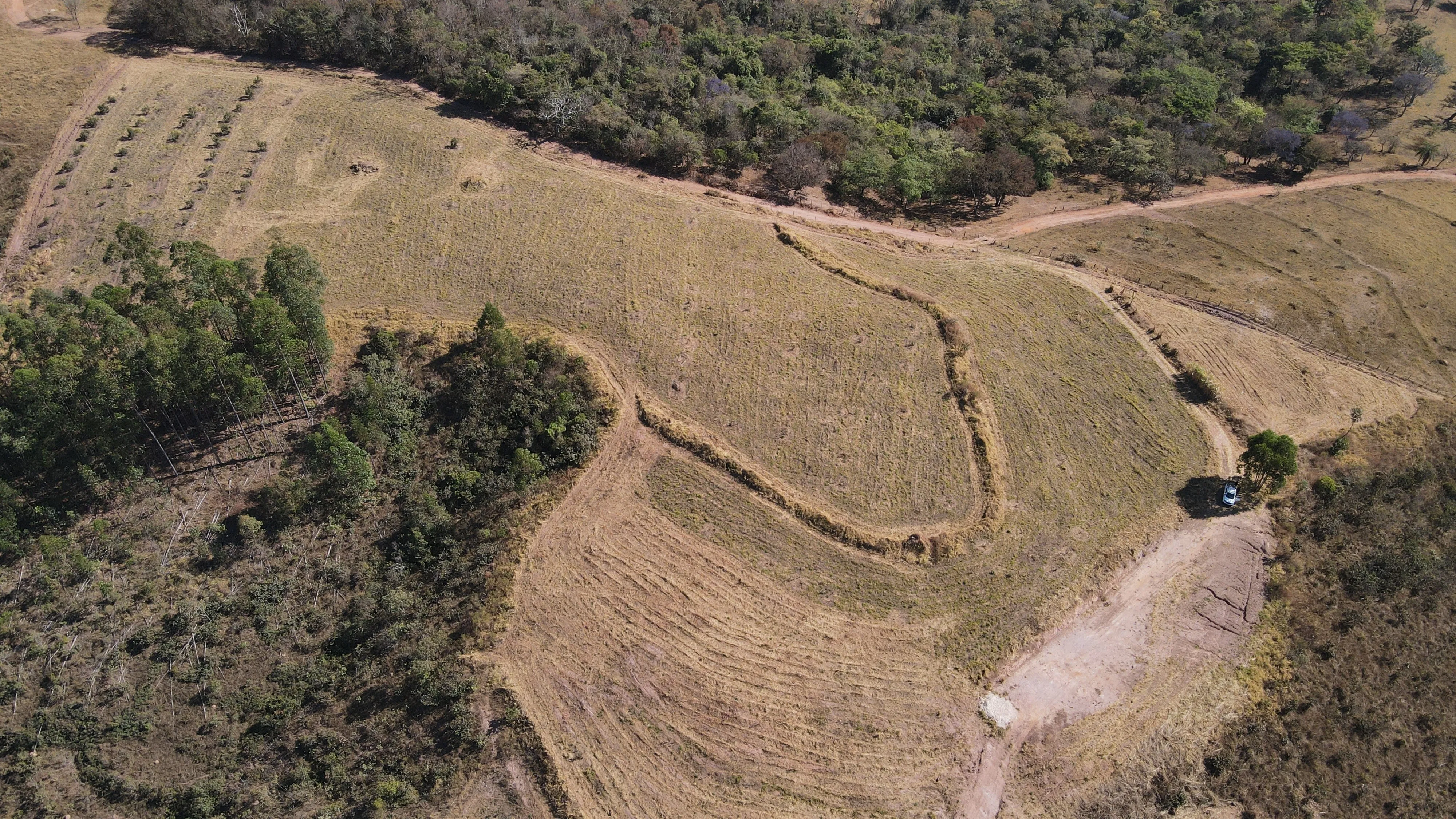 FAZENDA PARA PRODUÇÃO DE ABACATE EM PATROCÍNIO/MG