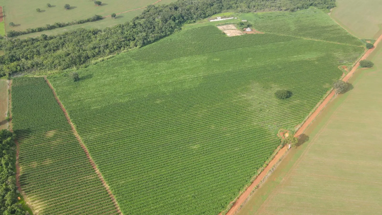 EXCELENTE FAZENDA CAFEEIRA EM PATROCÍNIO-MG