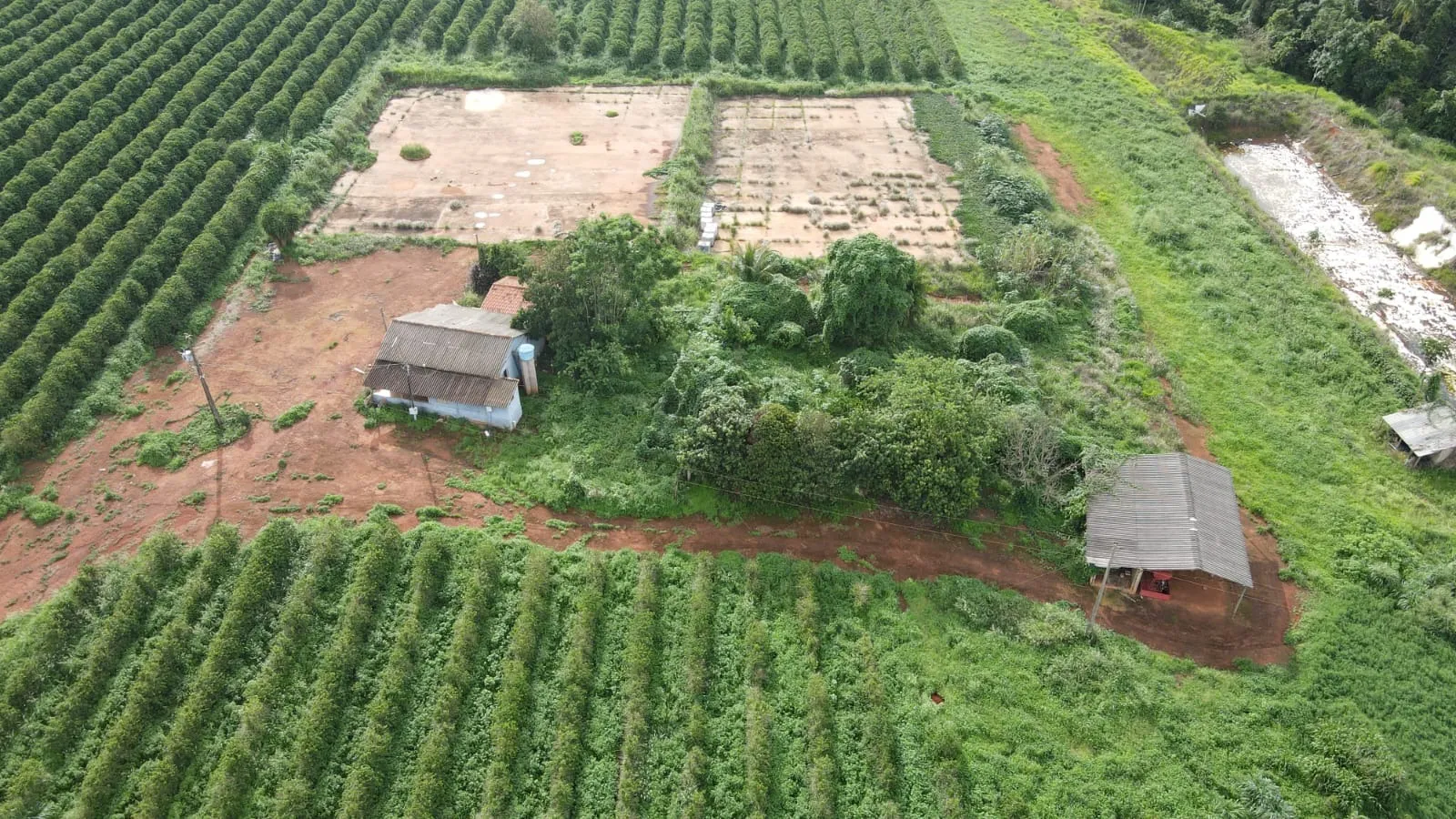 EXCELENTE FAZENDA CAFEEIRA EM PATROCÍNIO-MG