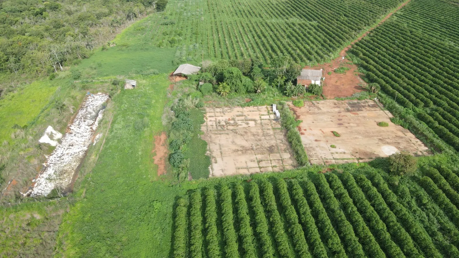 EXCELENTE FAZENDA CAFEEIRA EM PATROCÍNIO-MG