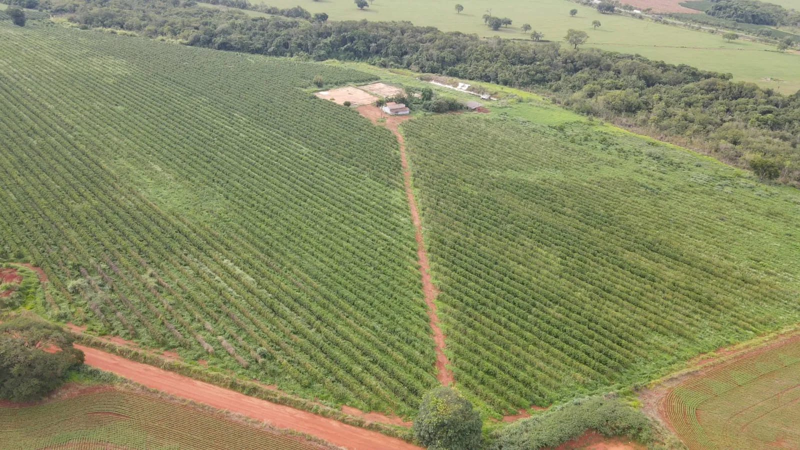 EXCELENTE FAZENDA CAFEEIRA EM PATROCÍNIO-MG