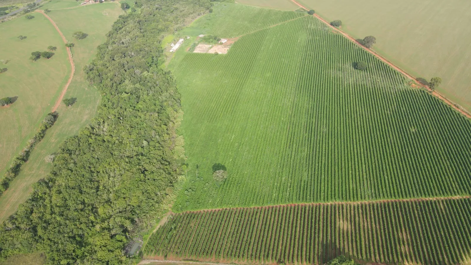EXCELENTE FAZENDA CAFEEIRA EM PATROCÍNIO-MG