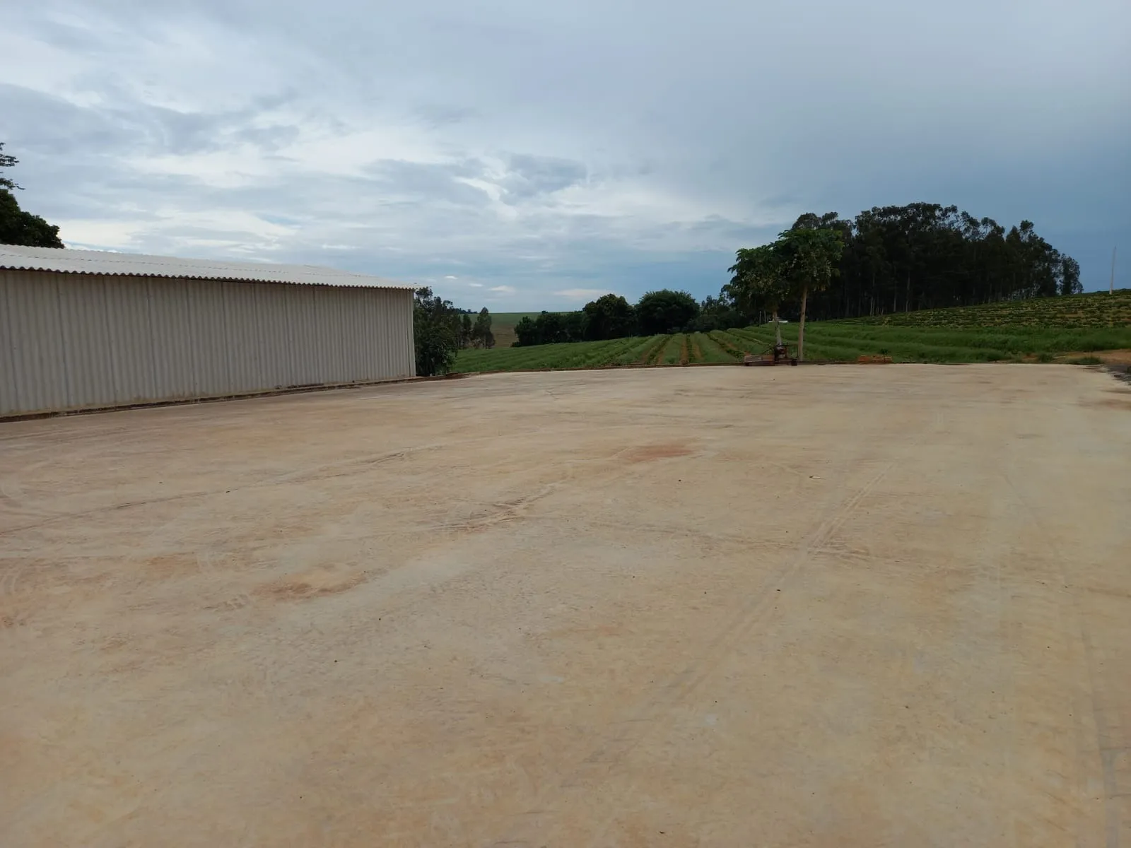 FAZENDA DE CAFÉ NA REGIÃO DE MACAÚBAS DE BAIXO