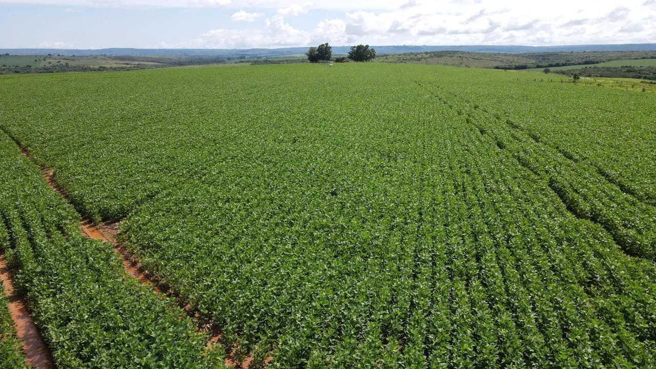 FAZENDA COM PIVÔS PRÓXIMO A LAGAMAR DOS COQUEIROS EM COROMANDEL/MG
