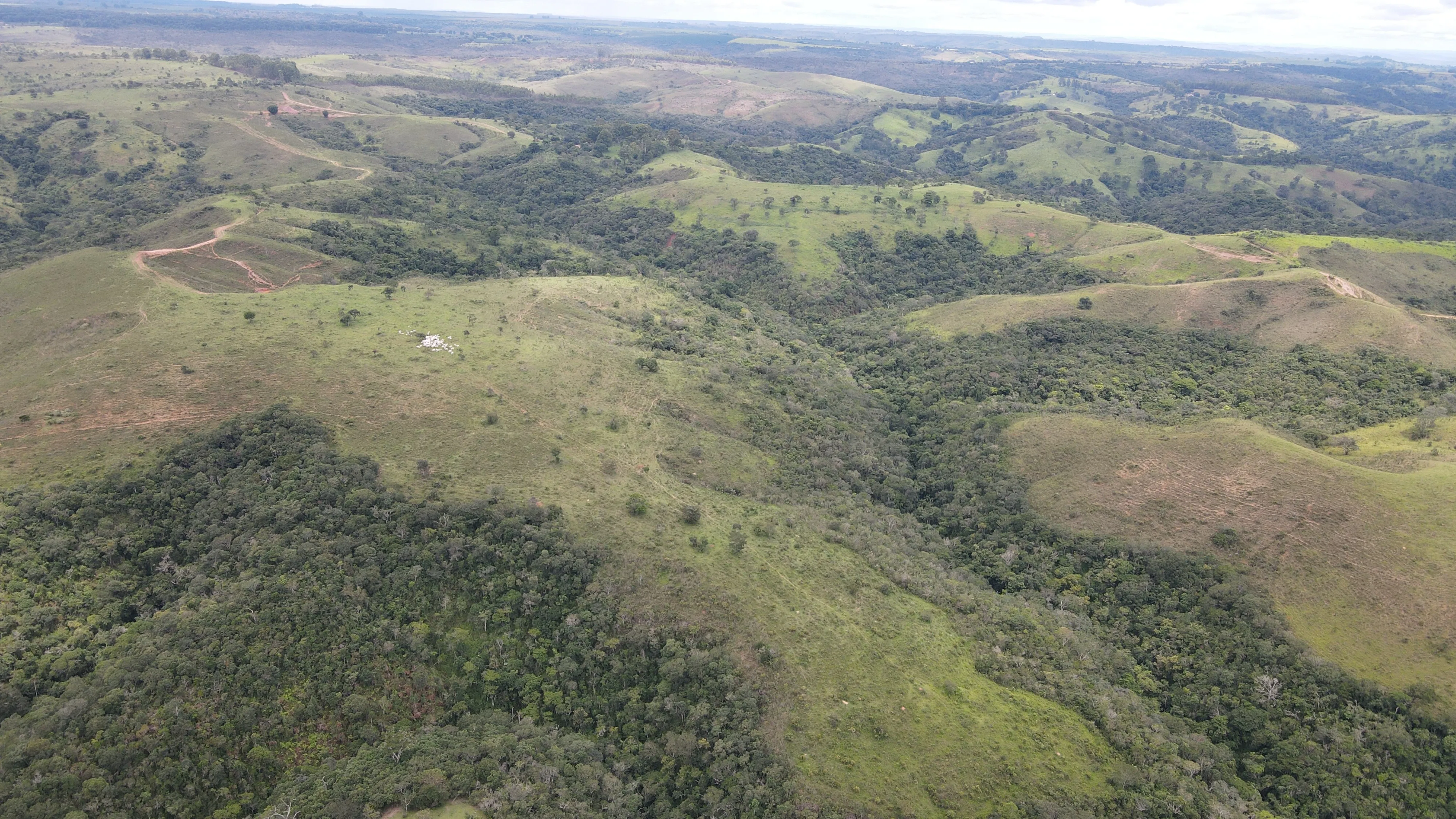 EXCELENTE FAZENDA PARA GADO NA REGIÃO DO PANTANO