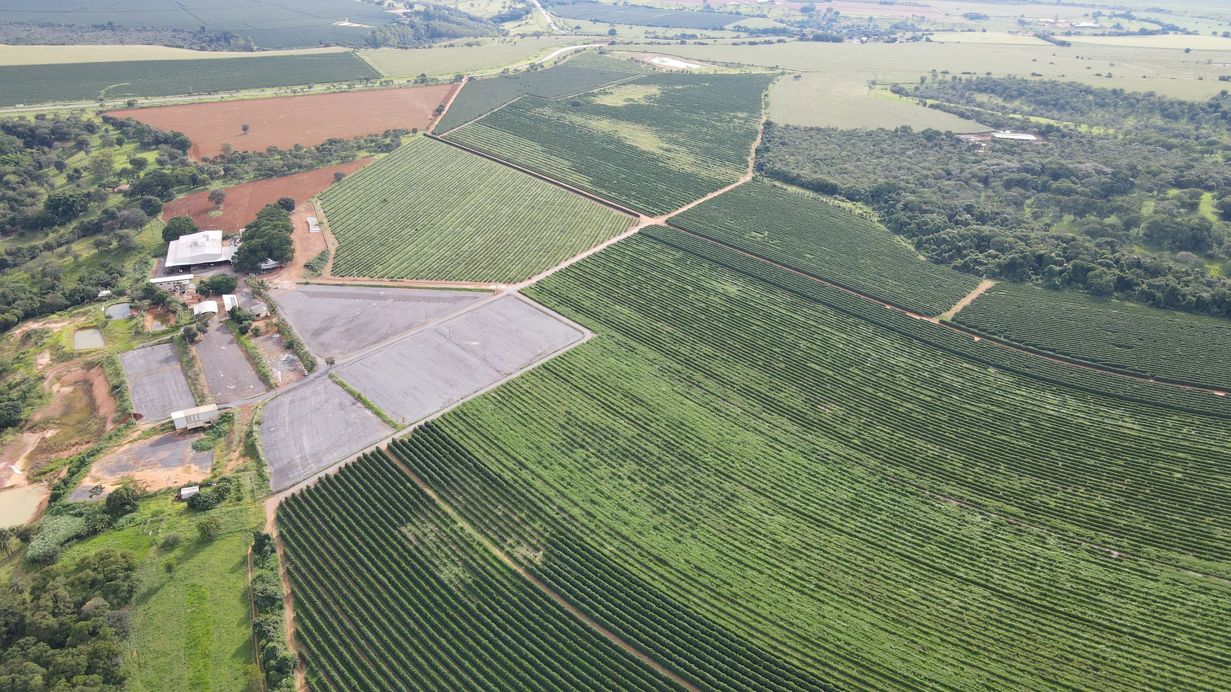 EXCELENTE FAZENDA CAFEEIRA EM CRUZEIRO DA FORTALEZA-MG