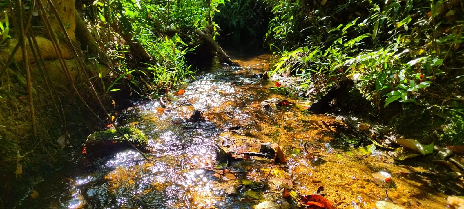 EXCELENTE FAZENDA DUPLA APTIDÃO EM REGIÃO VALORIZADA