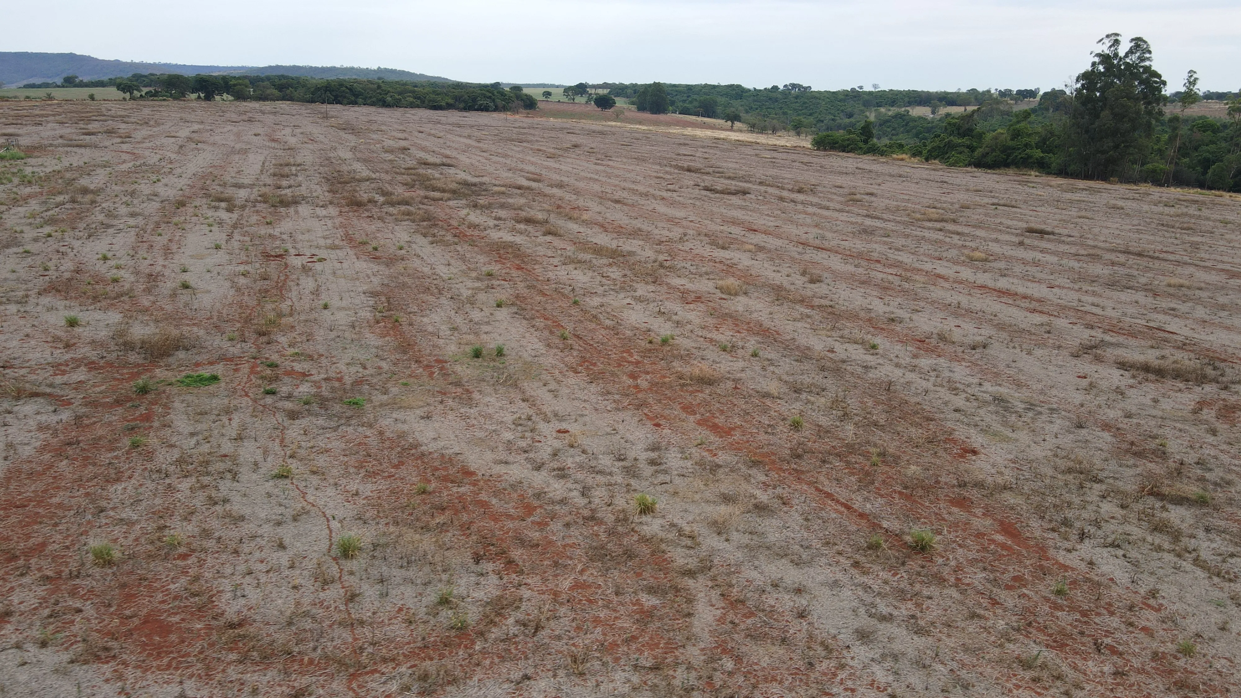 FAZENDA PRÓPRIA PARA CAFÉ EM COROMANDEL
