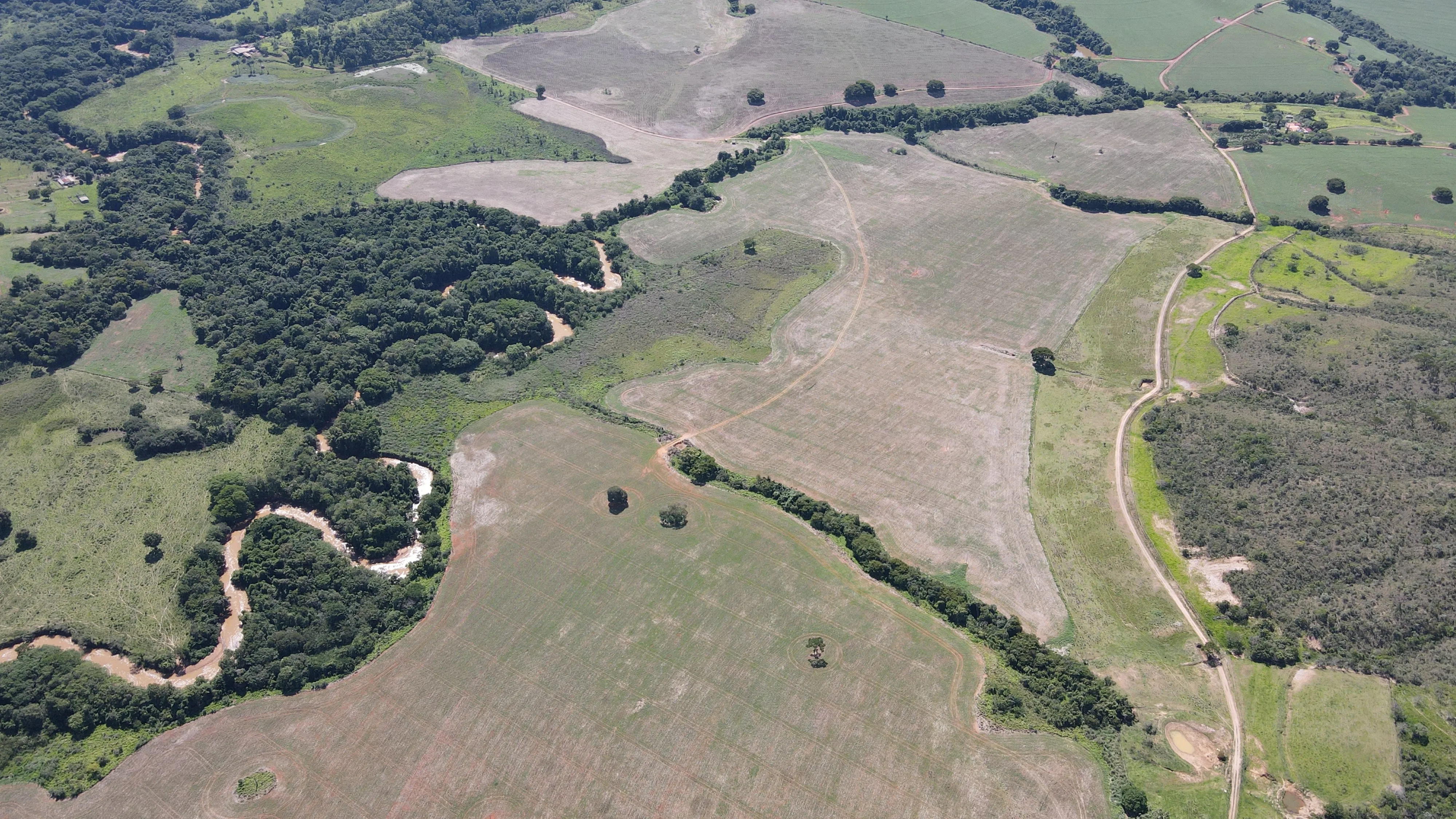 FAZENDA DE DUPLA APTIDÃO - SERRA DO SALITRE/MG