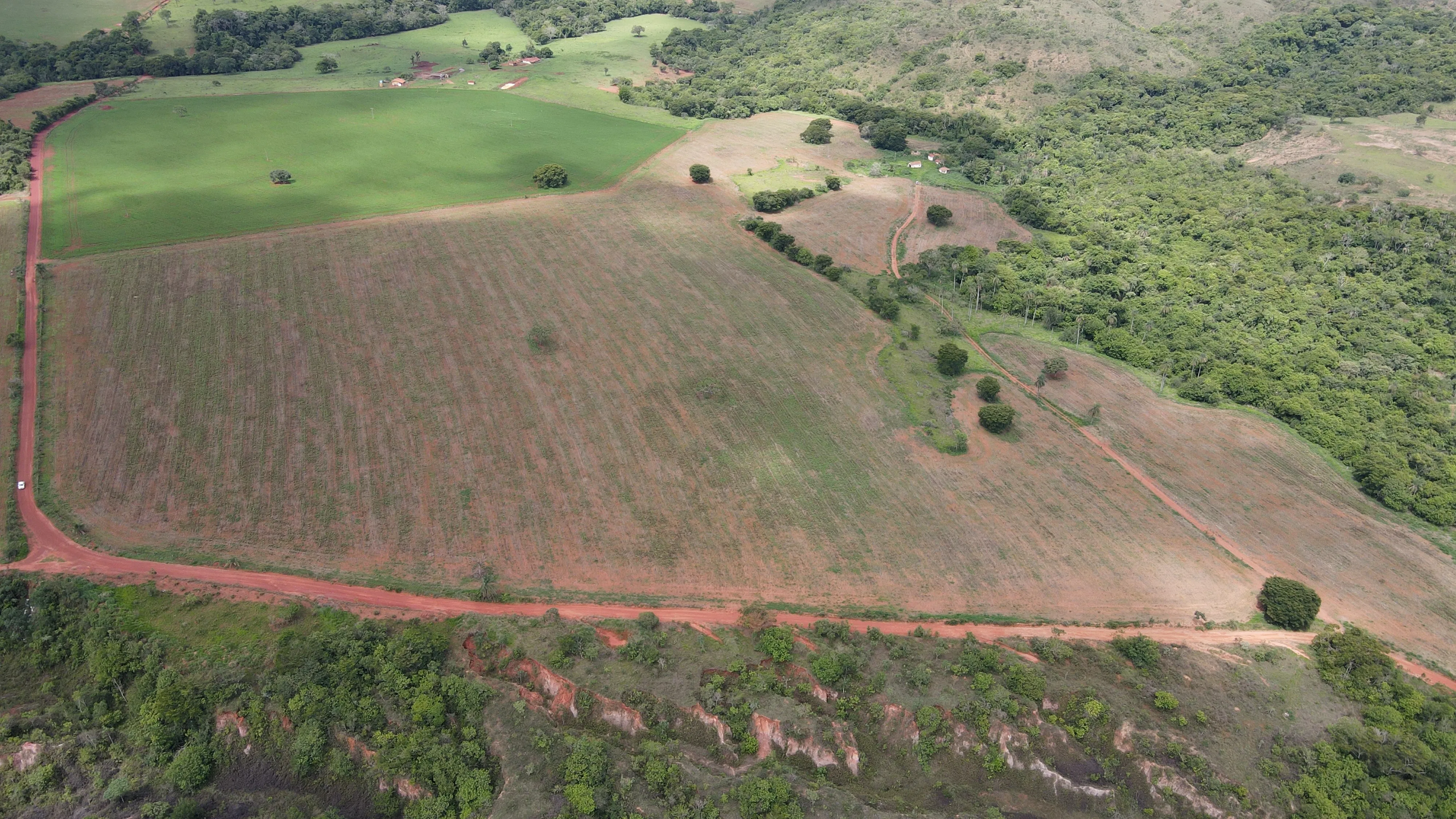 FAZENDA CULTIVADA NA ZONA RURAL DE PATROCÍNIO/MG