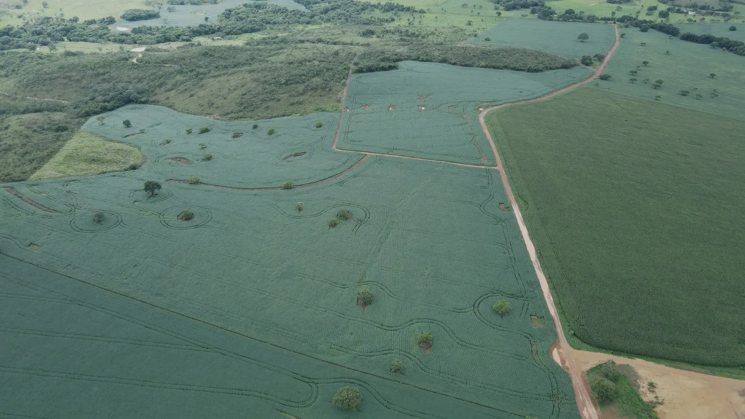 FAZENDA EM LAVOURA BRANCA NA ZONA RURAL DE COROMANDEL/MG